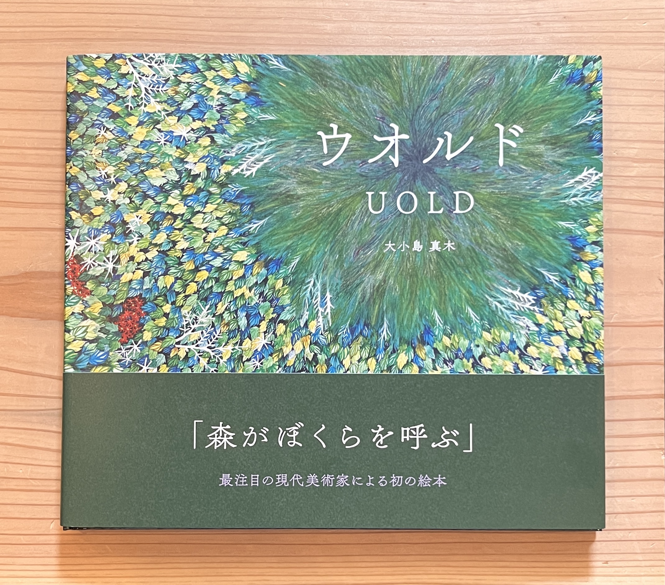 ゆかりのある 画家でありアーティストの大小島真木さんの初となる絵本『ウオルド』が届いています。