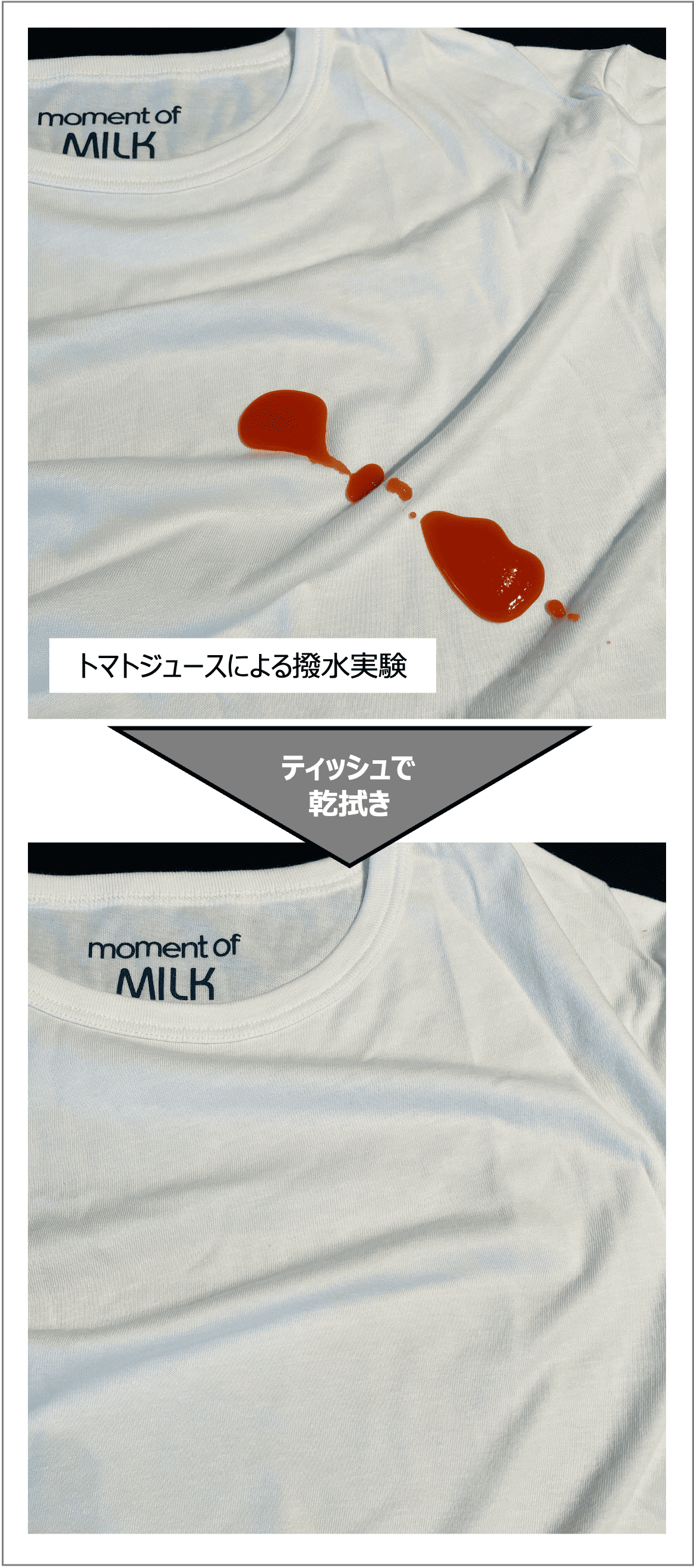 【脱脂粉乳アパレル / 正式リリースのお知らせ】
