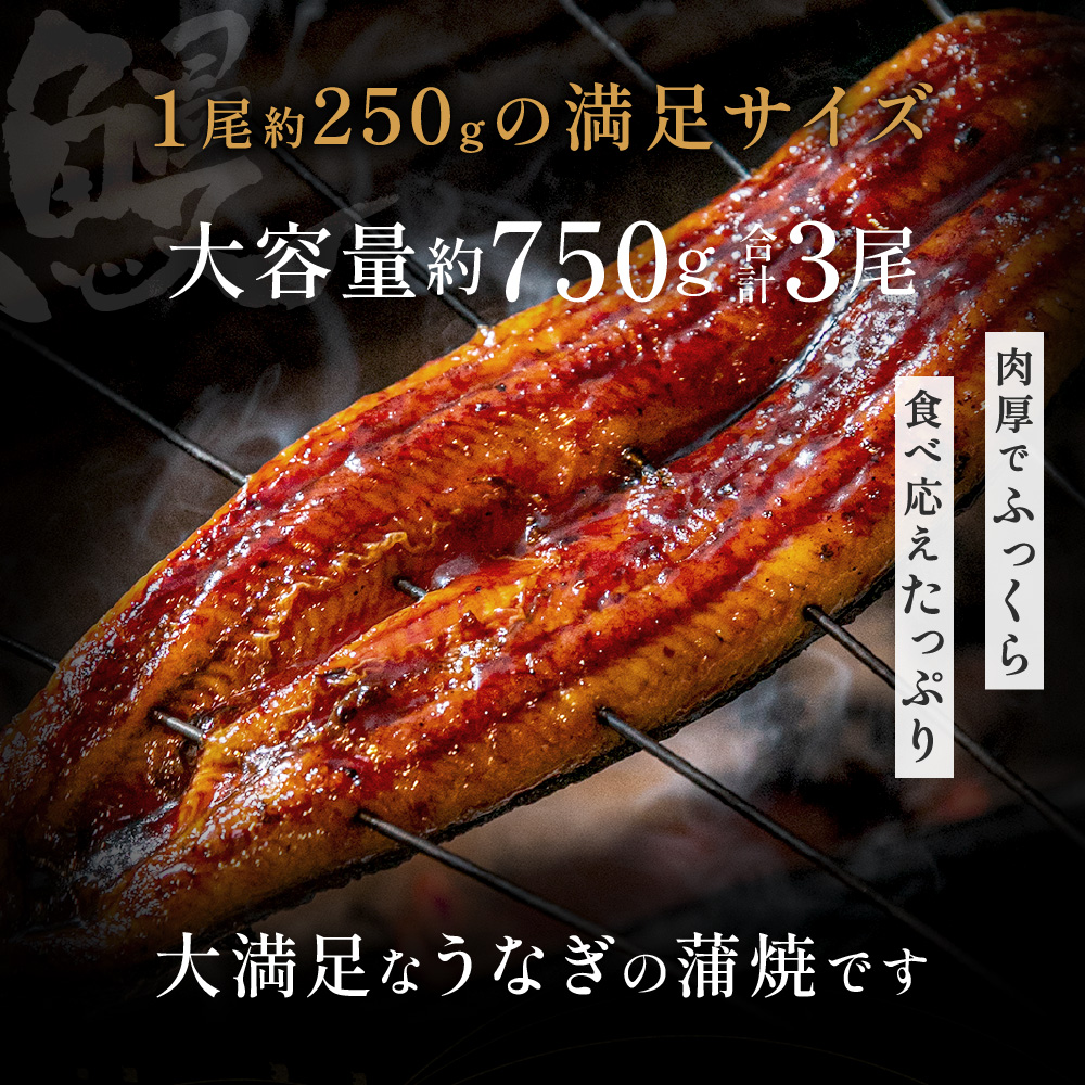 魚屋がすすめる特大うなぎ蒲焼の美味しい食べ方