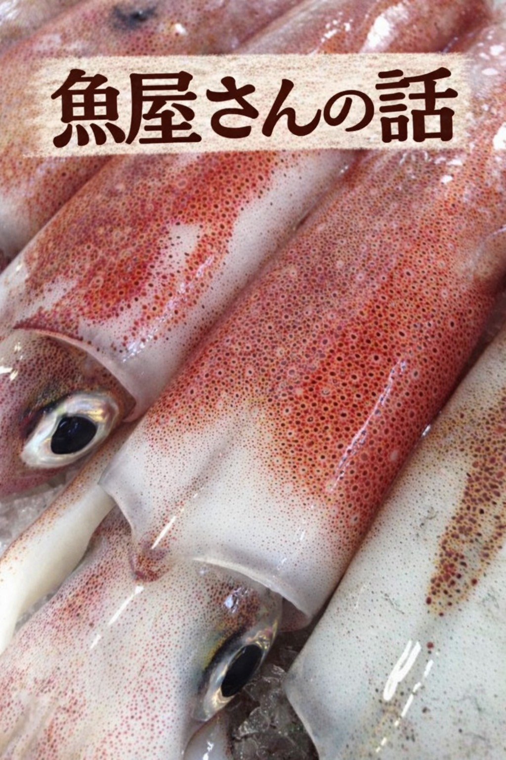 イカって地味に最強の食材じゃないか？魚屋が本気で語るイカの魅力5選