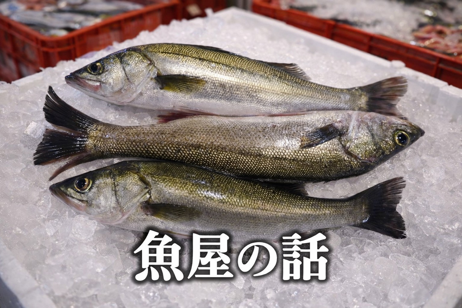 スズキの旬はいつ？栄養・効能と美味しい食べ方を魚屋が解説