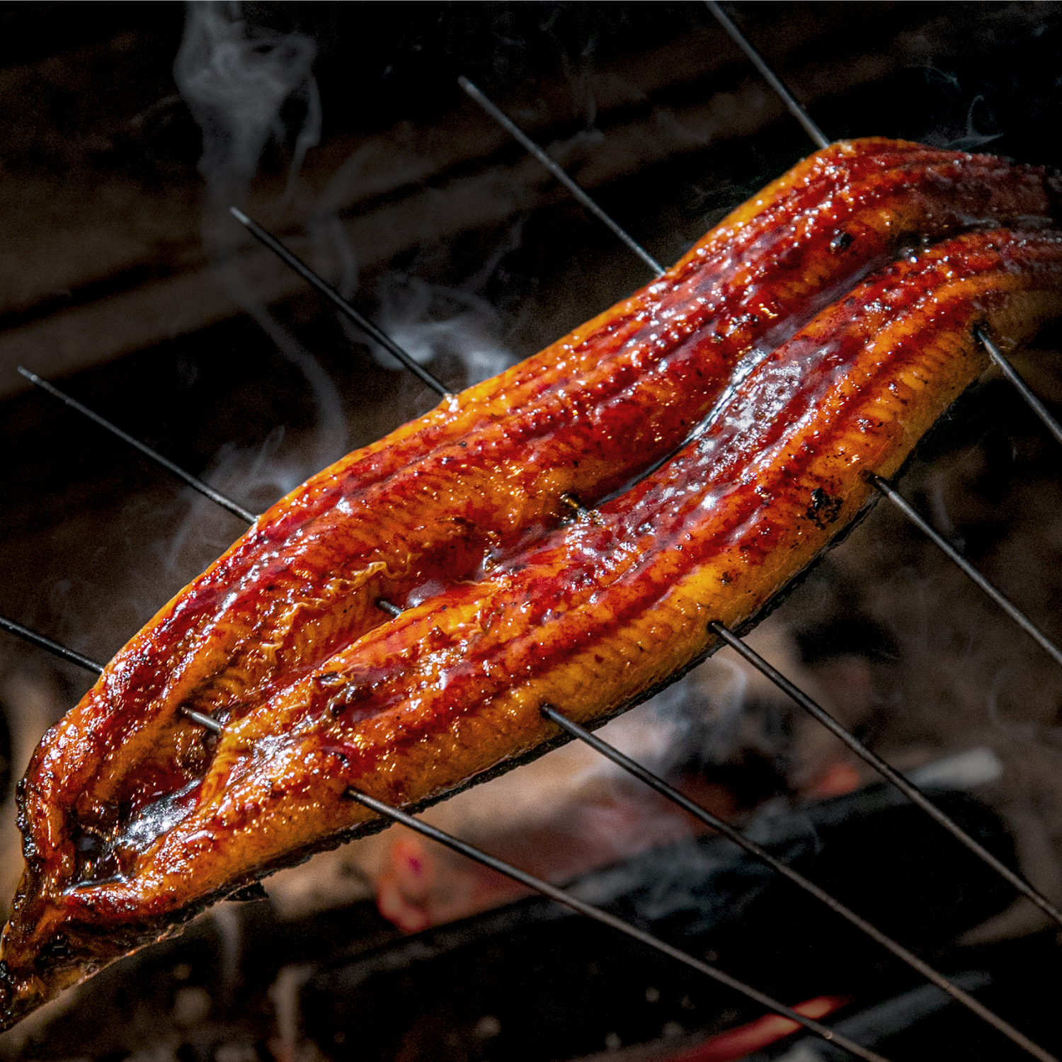 魚は健康にいい？毎日食べたい理由を魚屋が解説