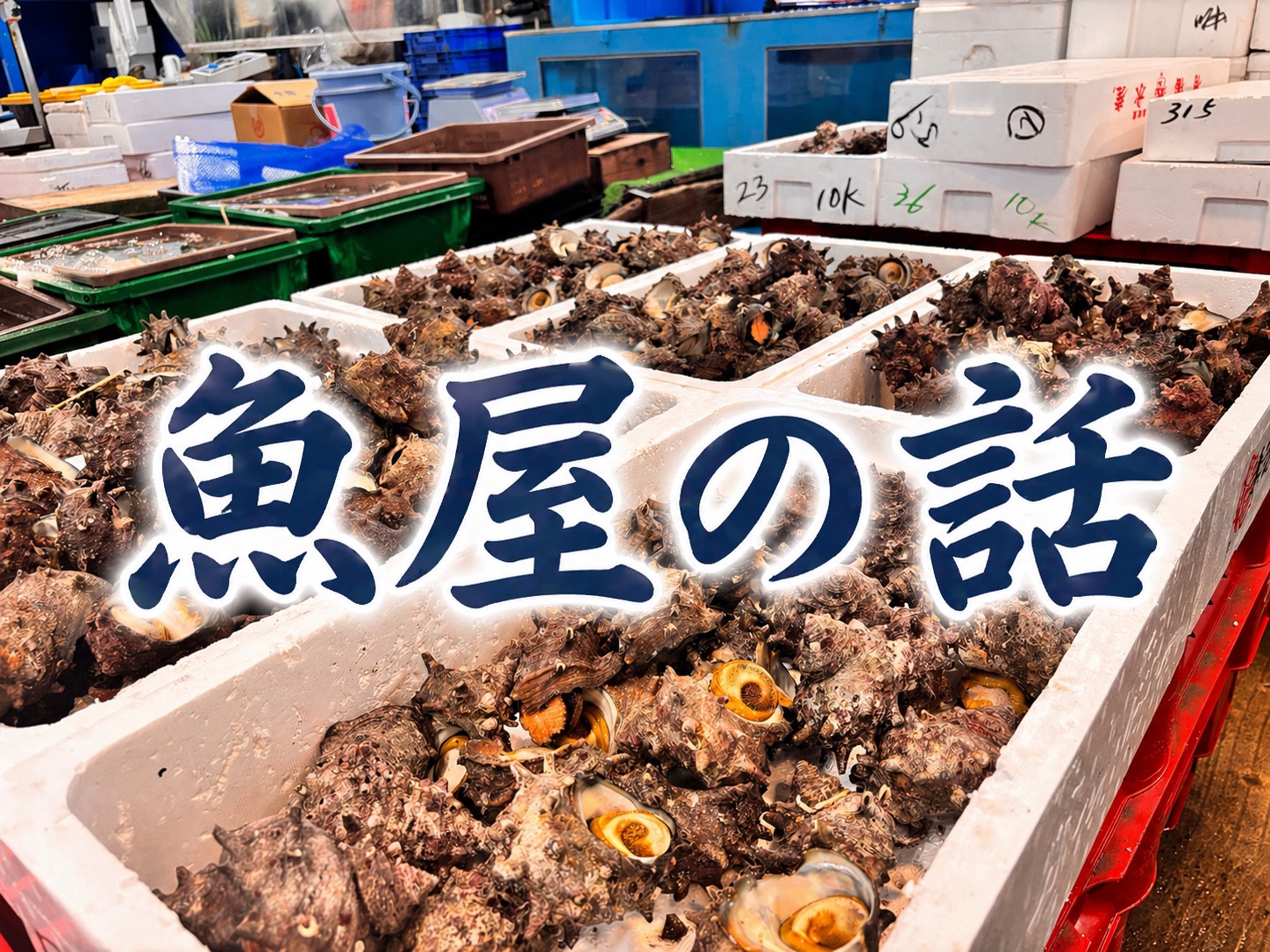 サザエの旬・栄養・食べ方を徹底解説！福岡・宗像の魚屋が教える磯の王様