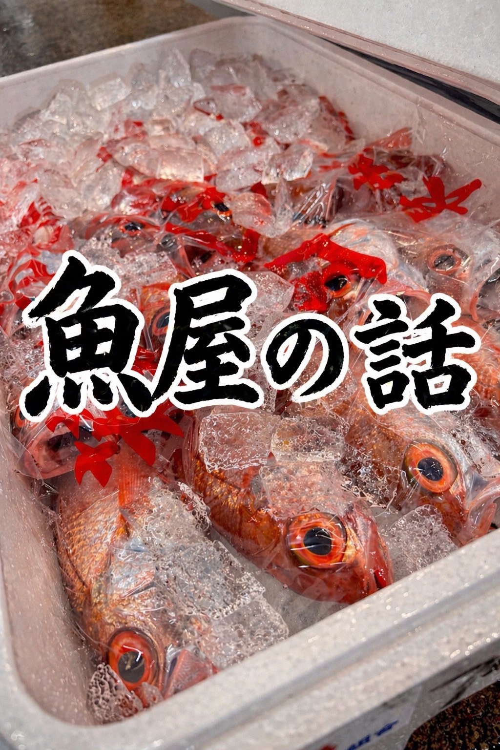 のどぐろ（アカムツ）の栄養と旬｜白身なのに脂がすごい理由を魚屋が解説