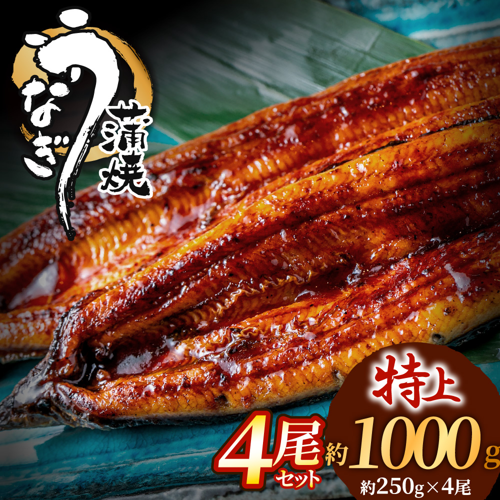 鰻の栄養成分と健康効果とは？魚屋が本気で解説します