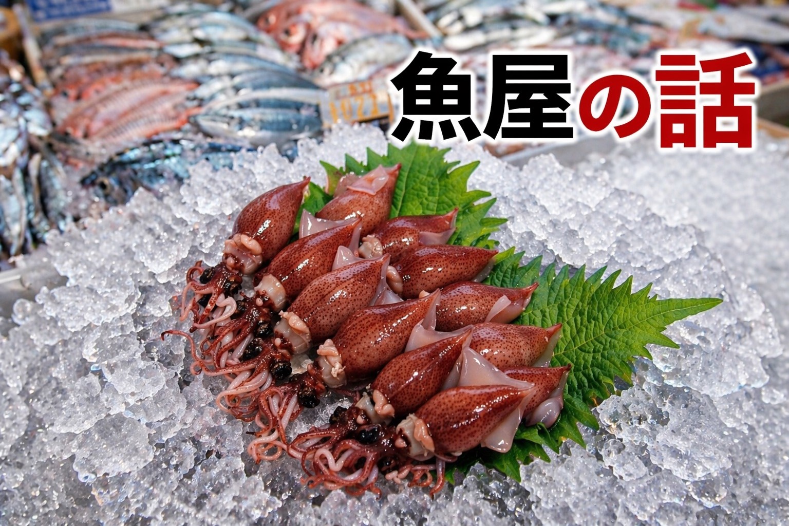 ホタルイカが旬！春にとりたい栄養と、夏の鰻との意外なつながり