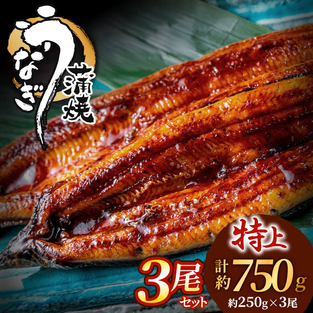 特大うなぎ蒲焼とは？魚屋が教えるうなぎの魅力