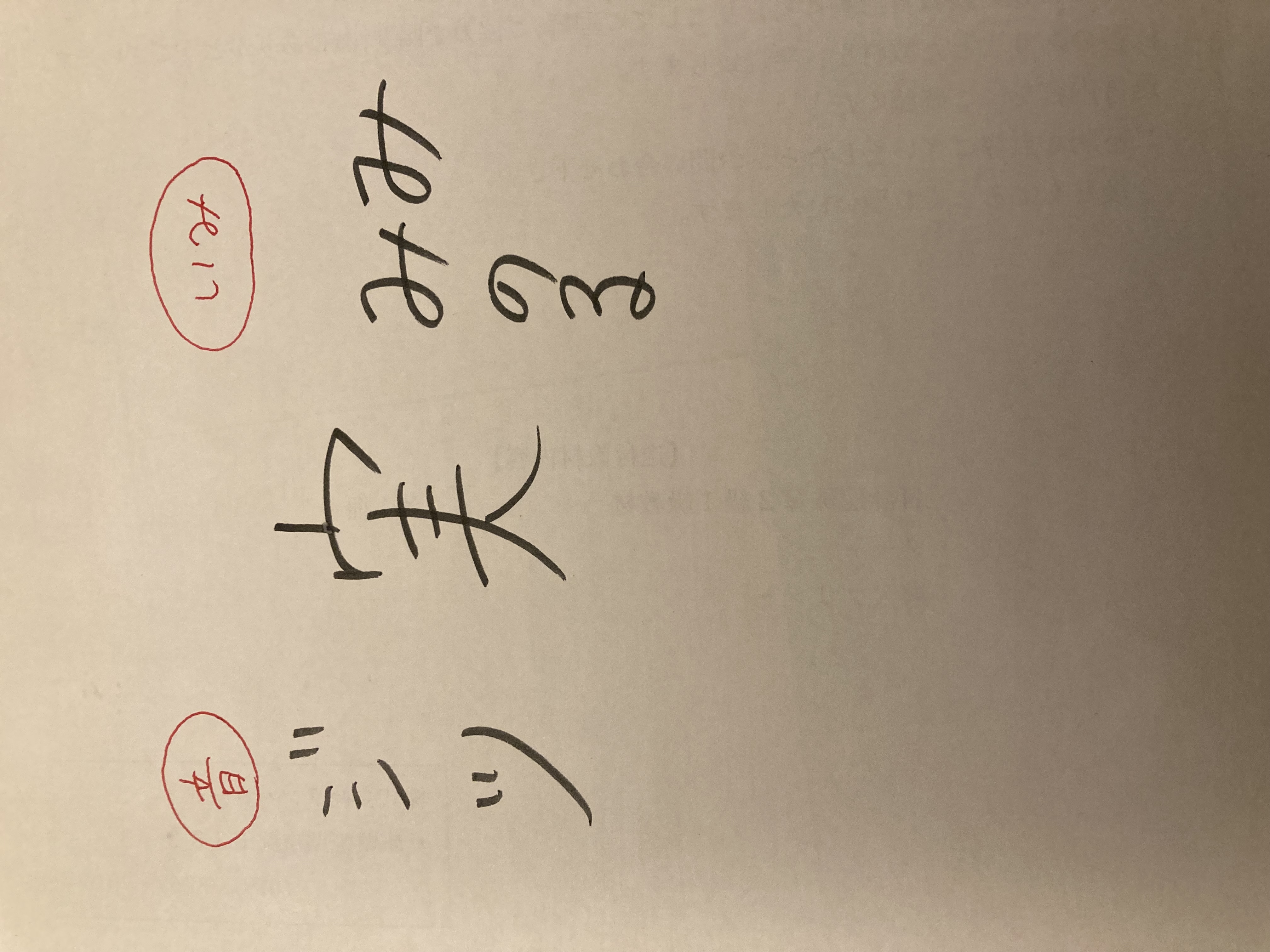 使える漢字の覚え方　(漢字の応用力)