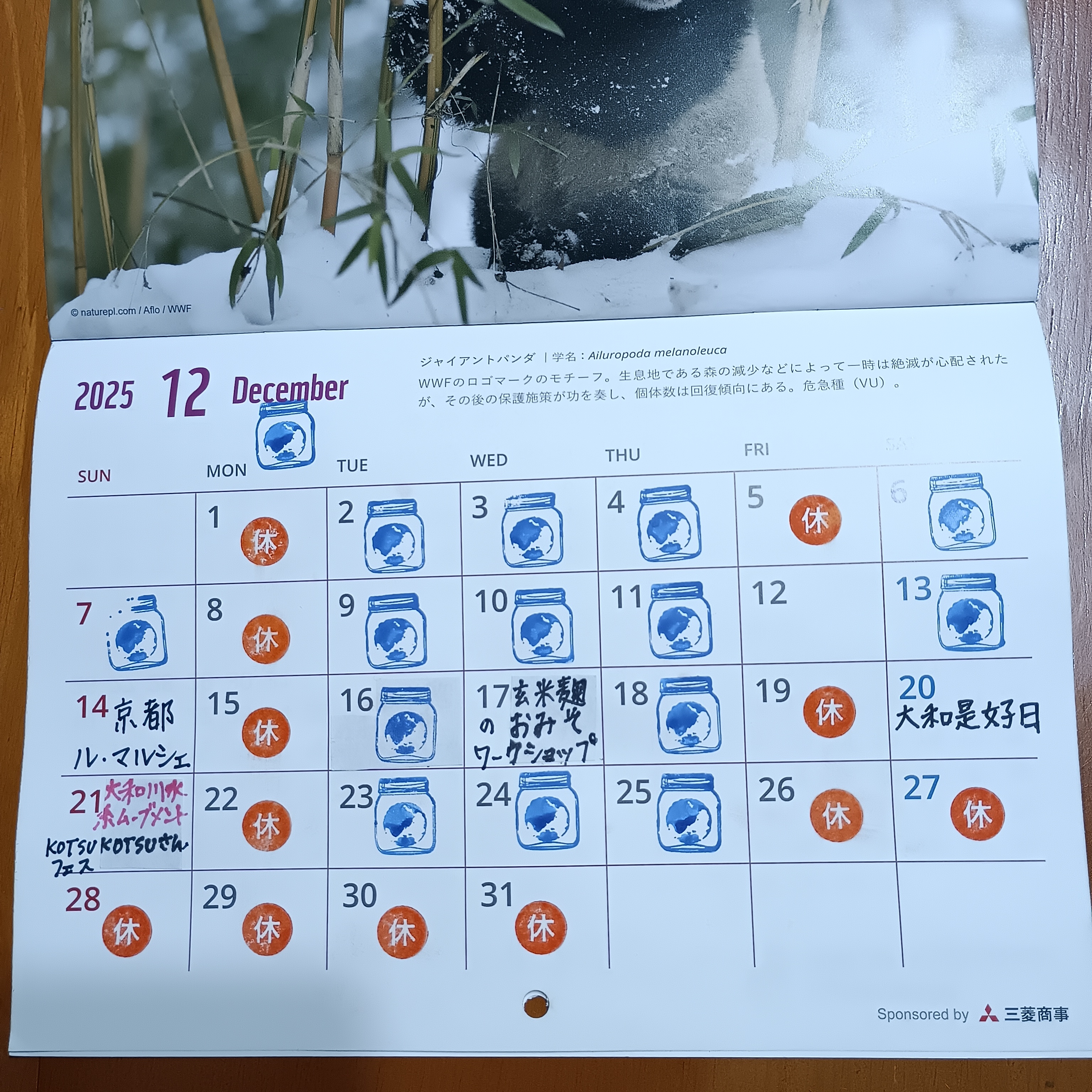 2025年12月の予定です！