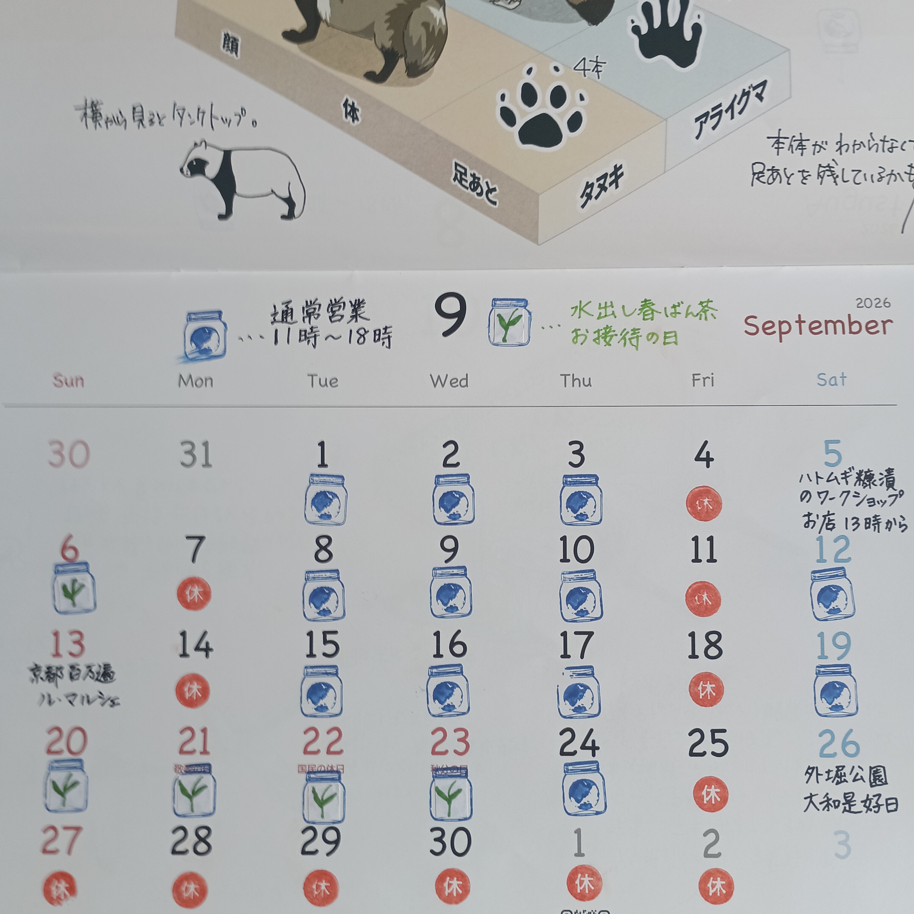 ２０２６年９月の予定です！