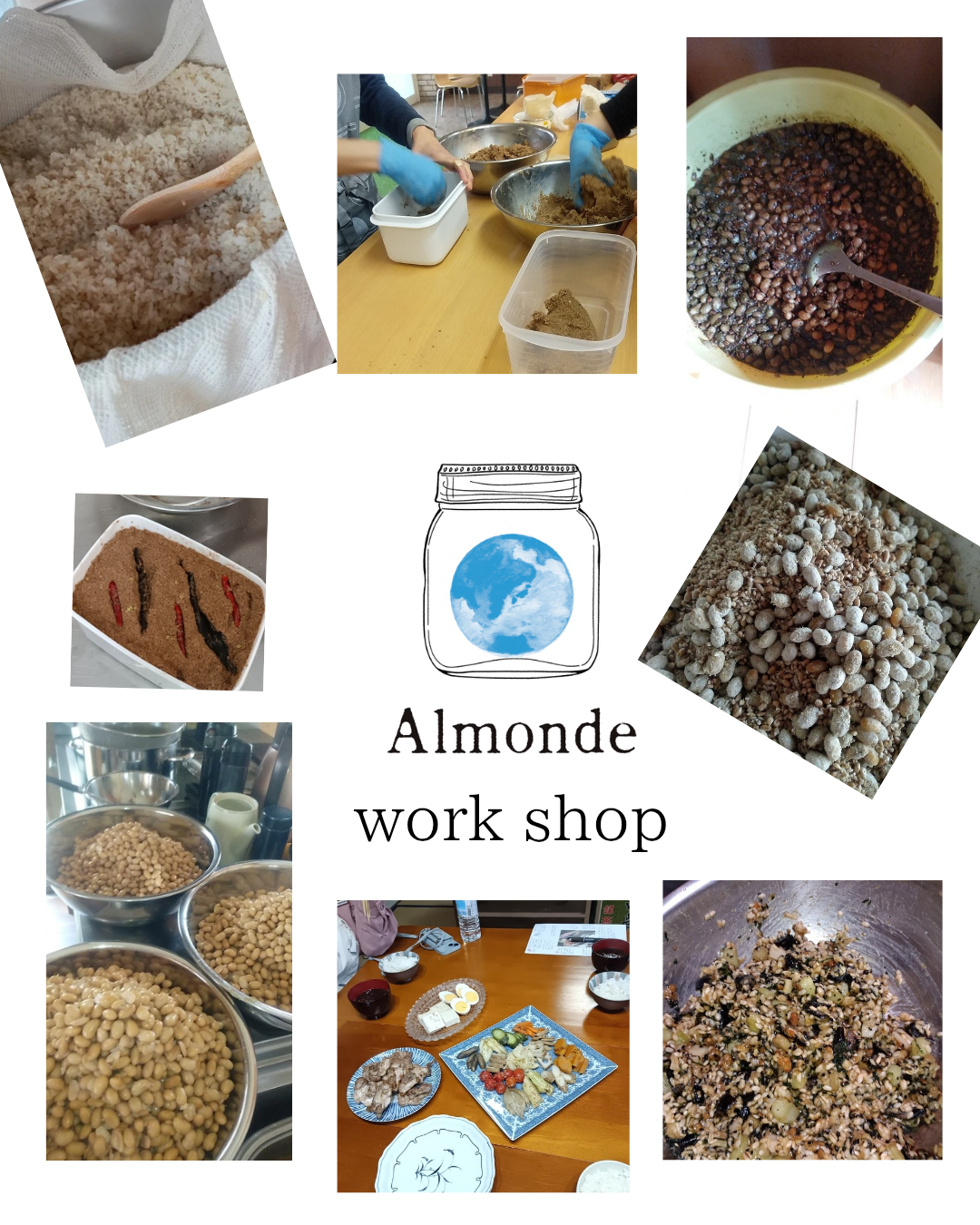 ２０２６年Almondeのワークショップ。