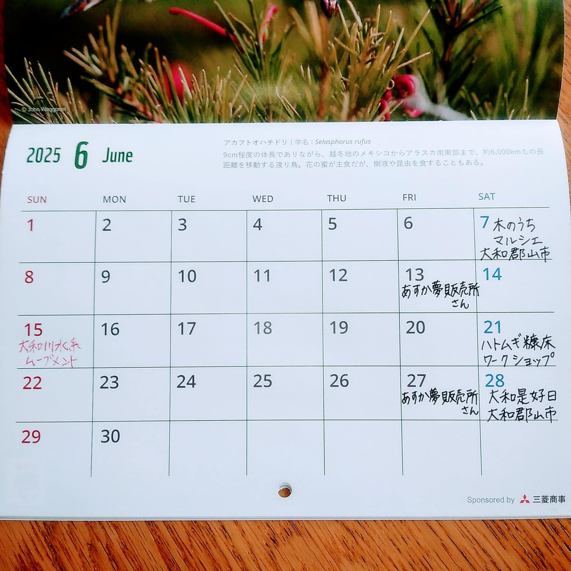 ２０２５年６月の予定です！
