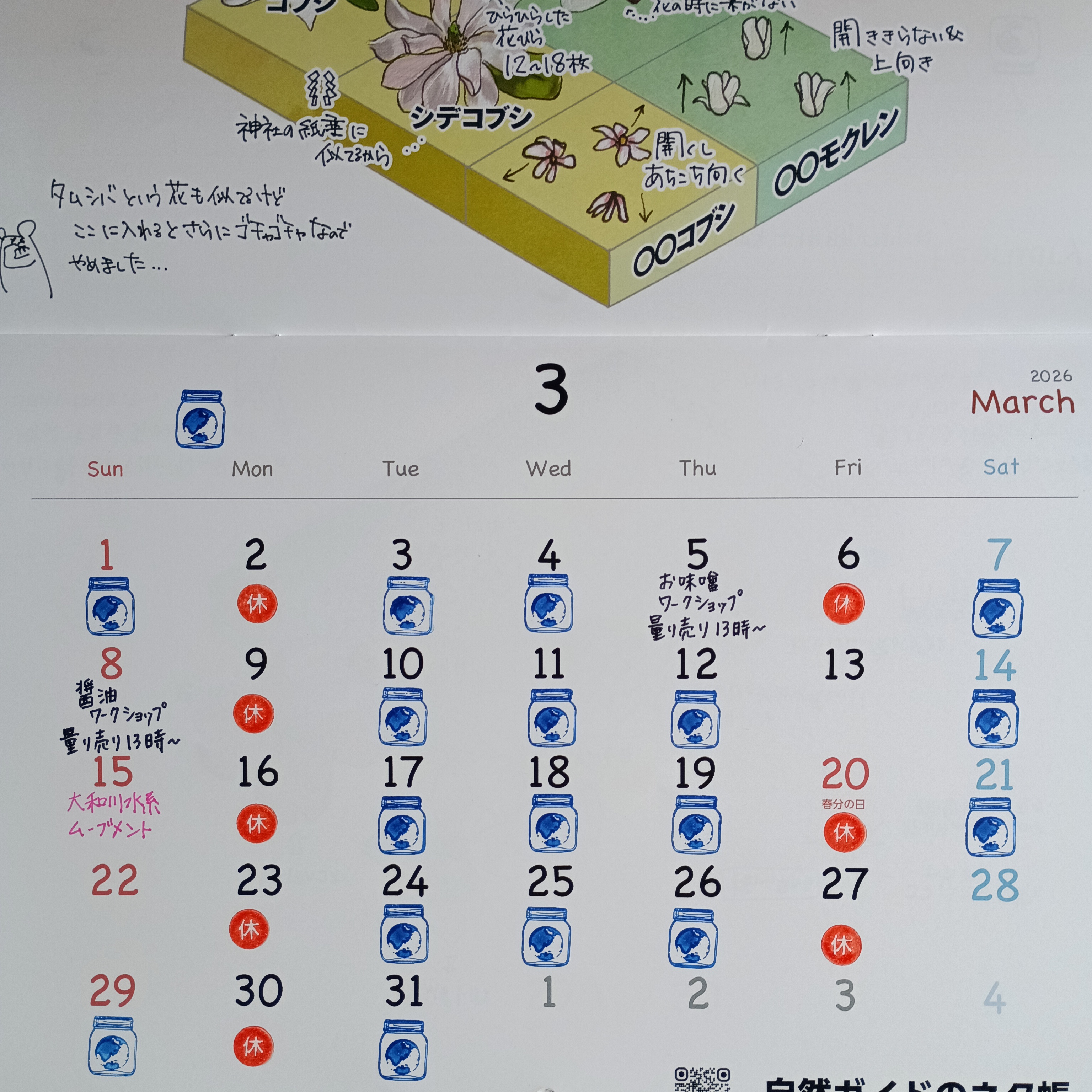 ２０２６年３月の予定です！