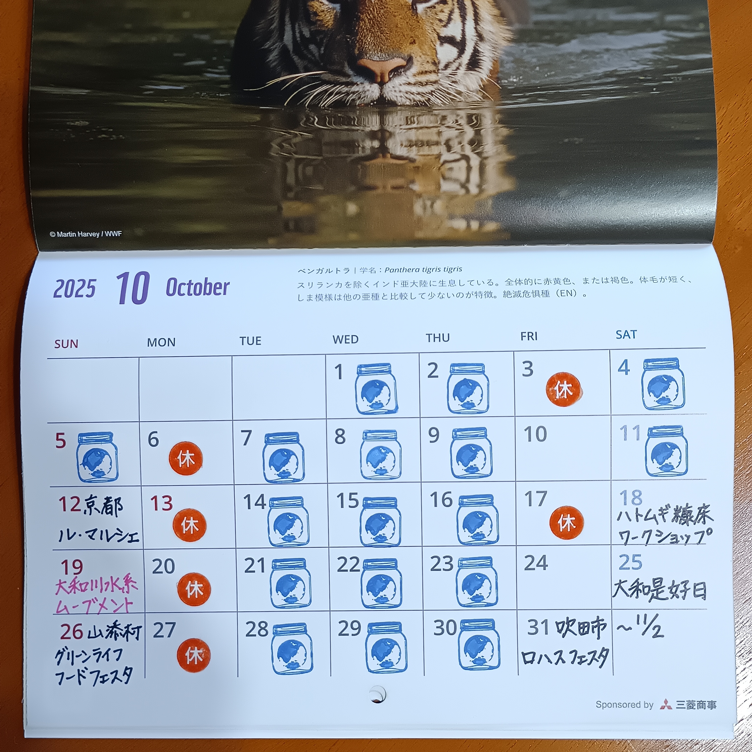 2025年10月の予定です!