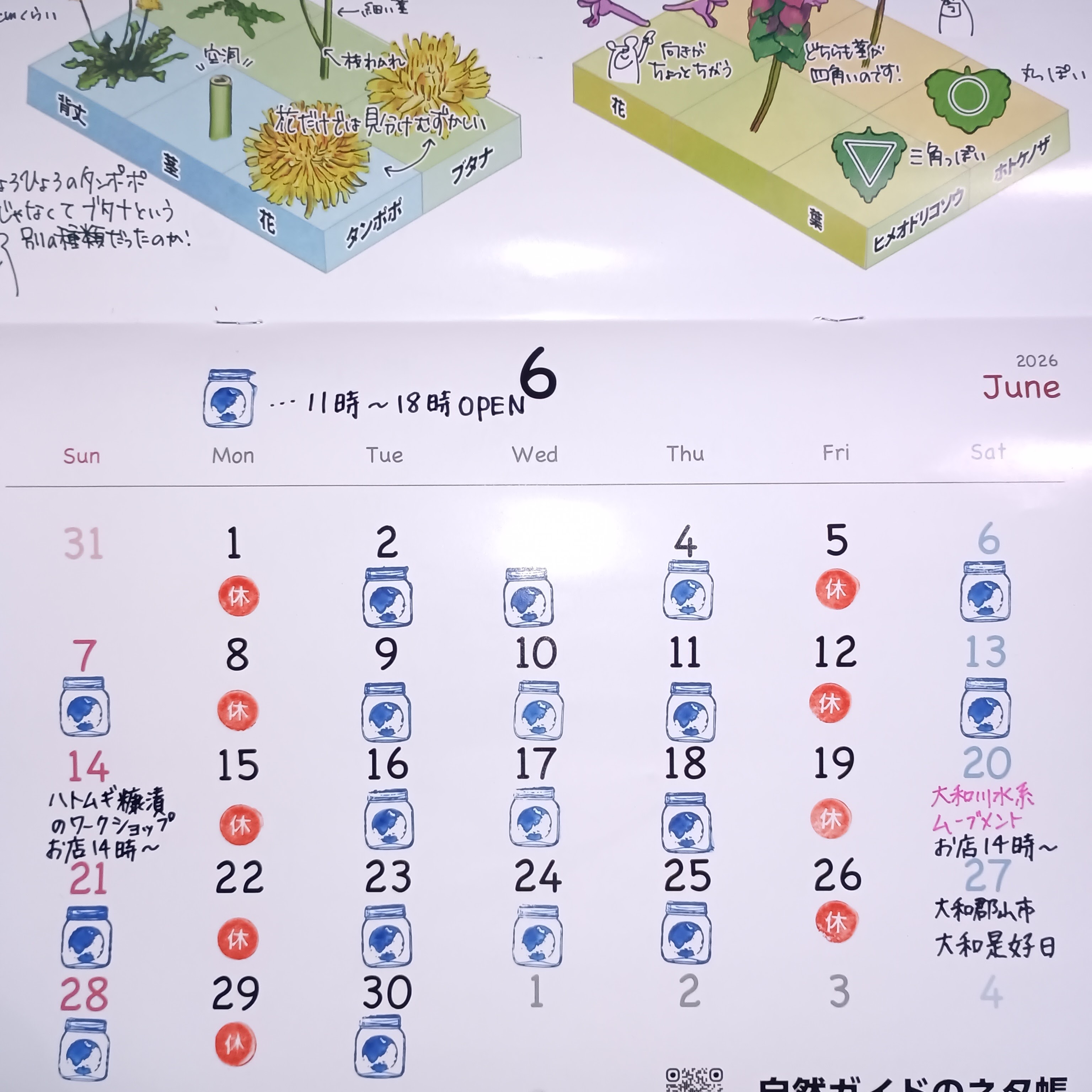 2026年6月の営業予定です!