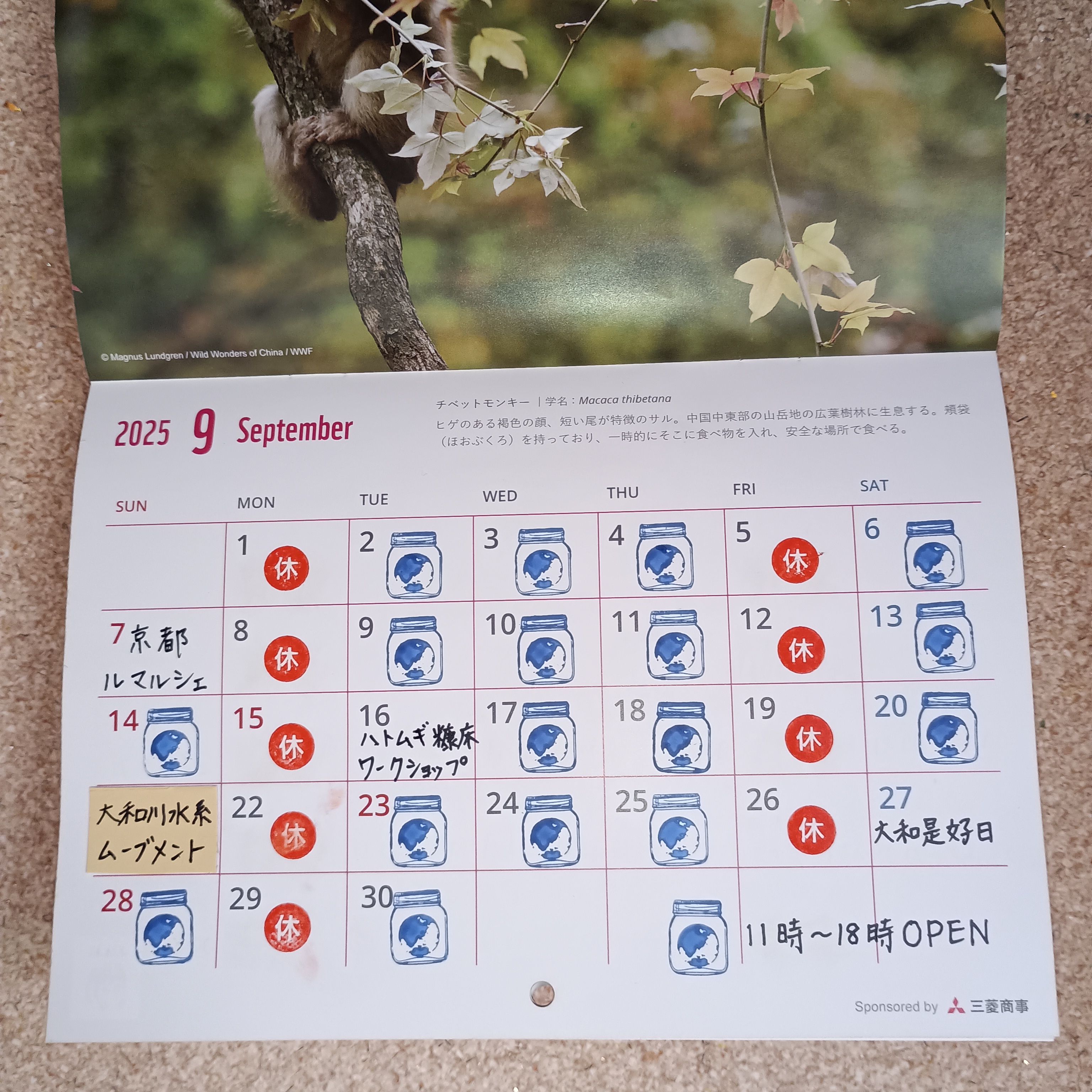 2025年9月の予定です!