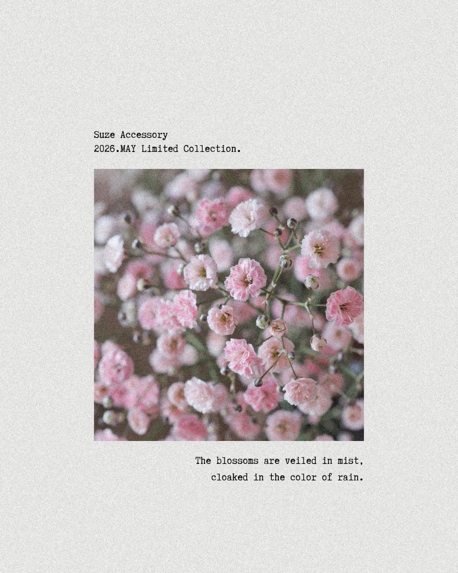 | 2026 MAY | Limited Collection「LOOK」