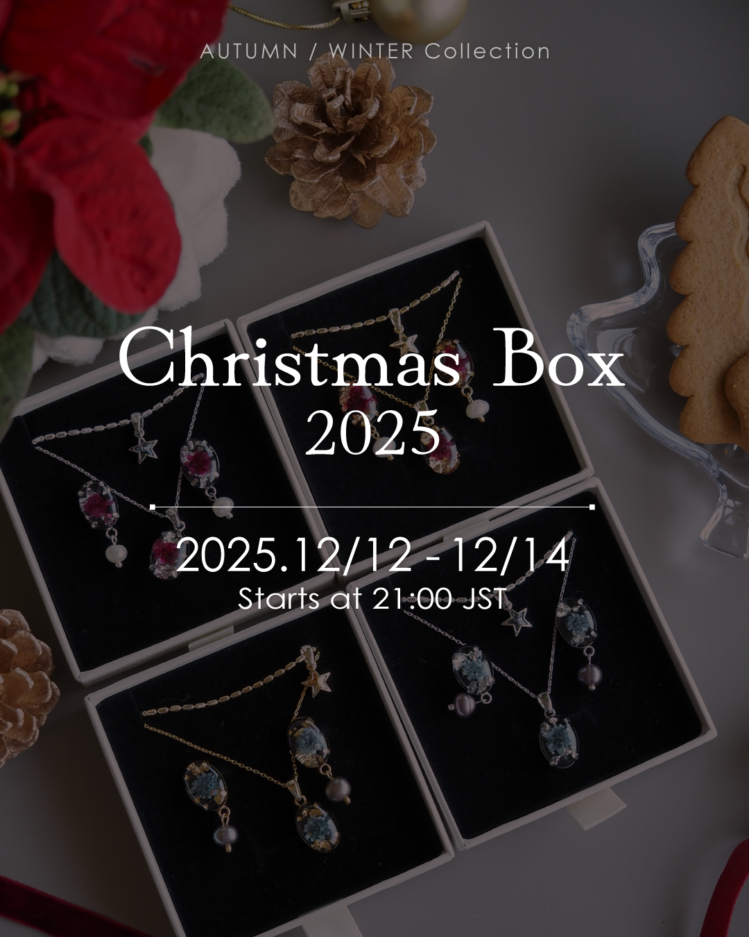 Suze Christmas Box 2025