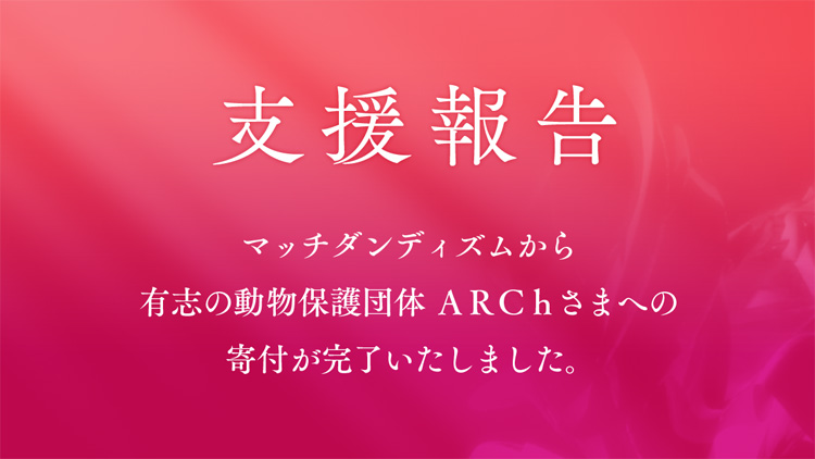 2020年 寄付活動報告・ ARCh（アニマルレスキューちば）様