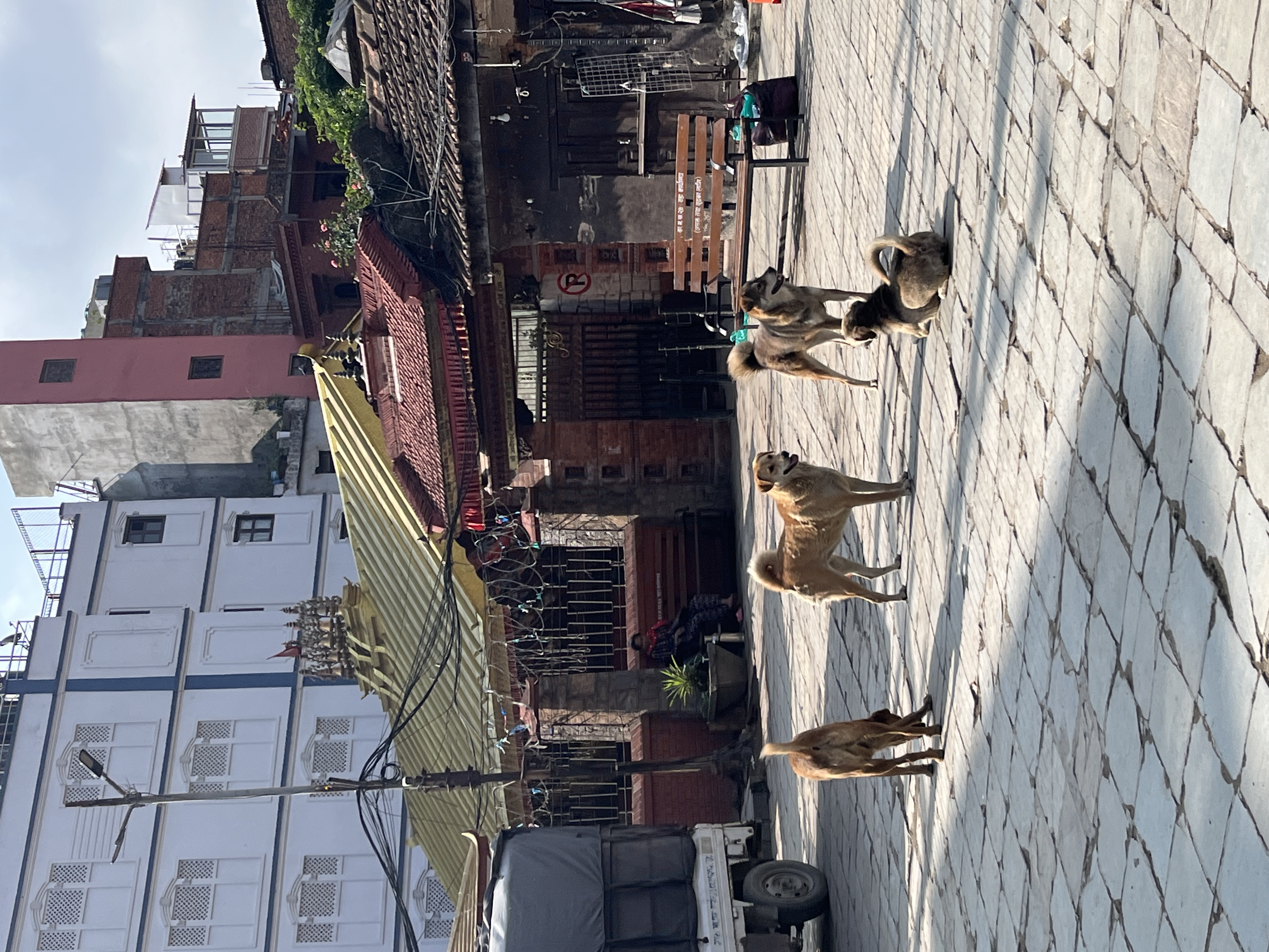 どこで、何をやるか。