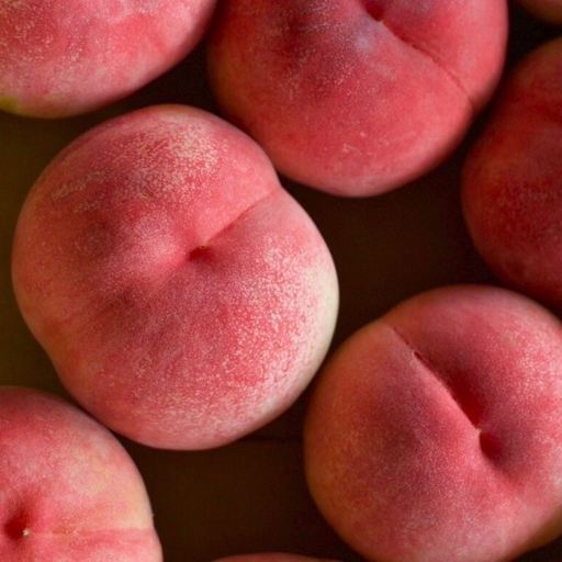 KING OF PEACHESS ( POP UP NIKKO HIRO MARCHE )