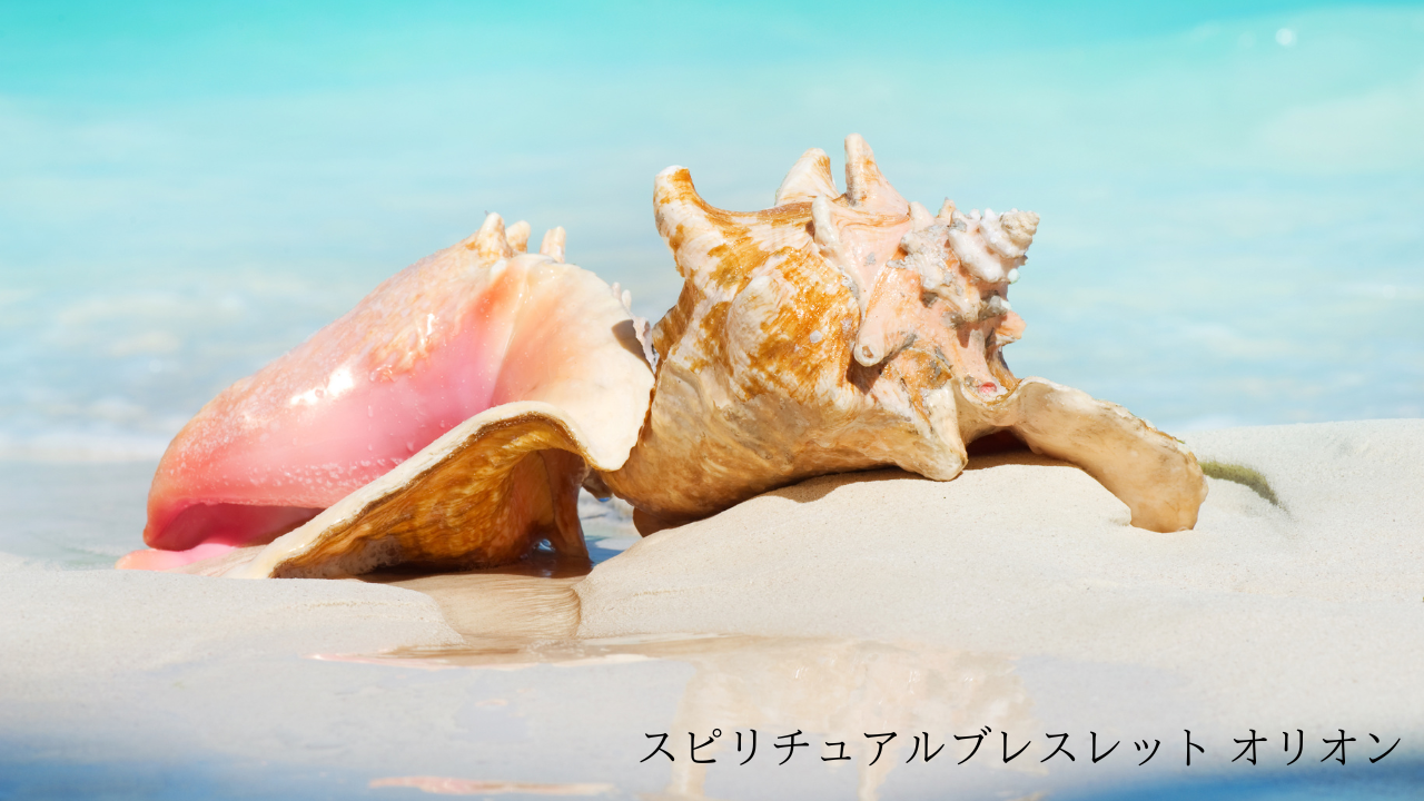 「クイーンコンクシェルの神秘：カリブ海の宝が紡ぐ愛と癒しのメッセージ」