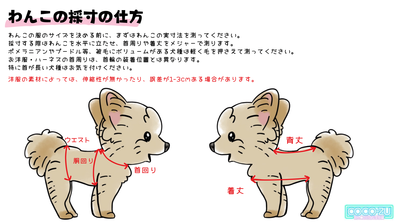 わんこの採寸の仕方