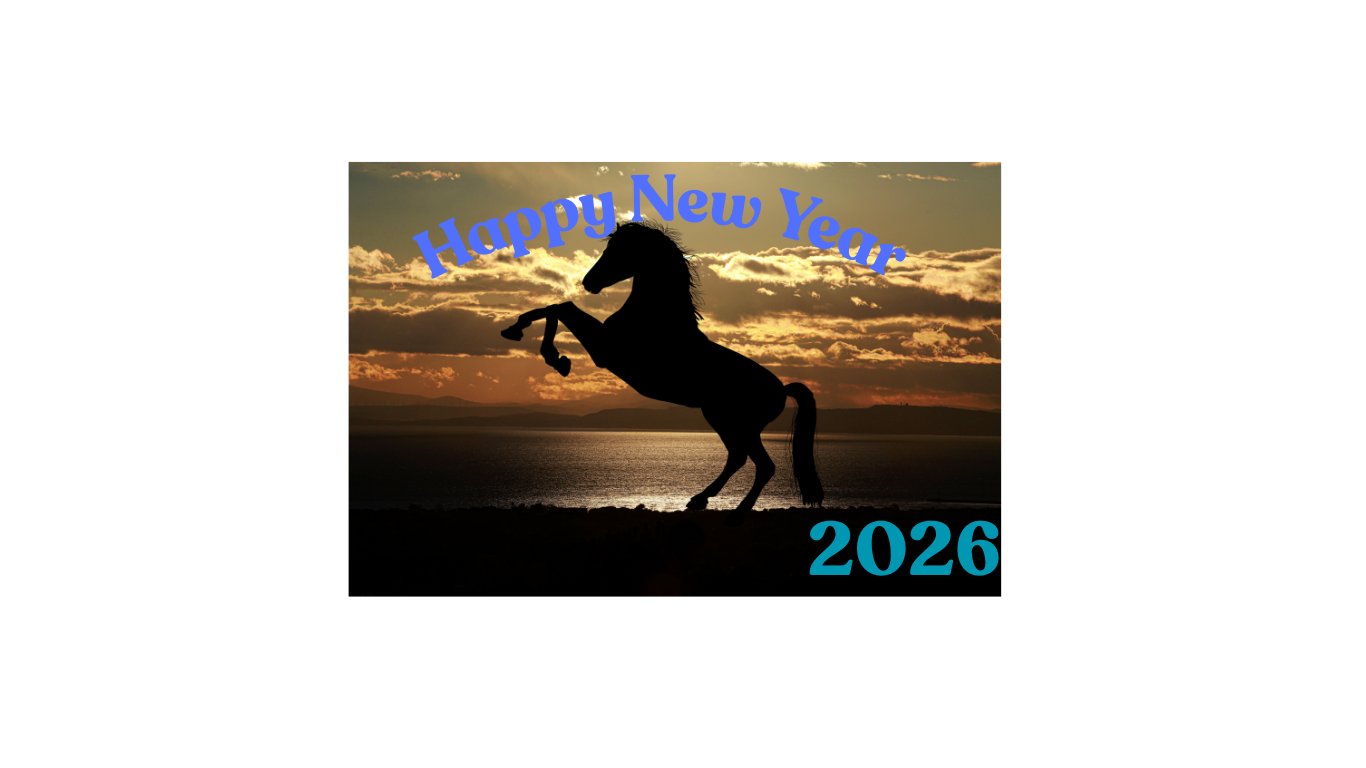 あけましておめでとうございます。