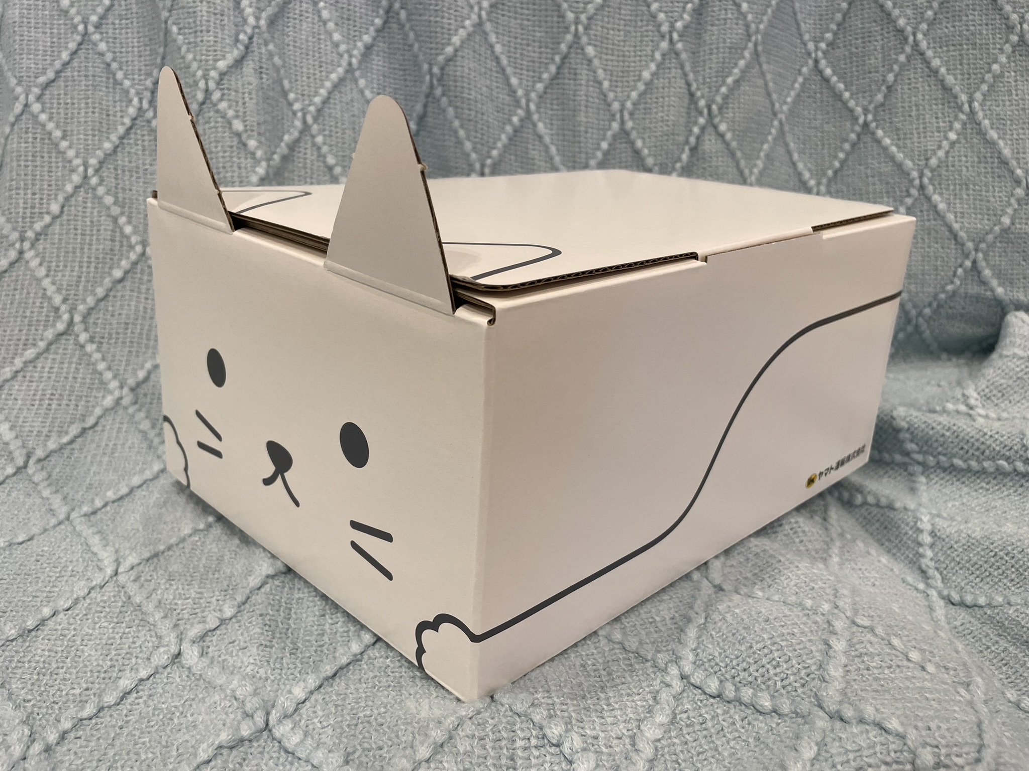 白猫さん^^