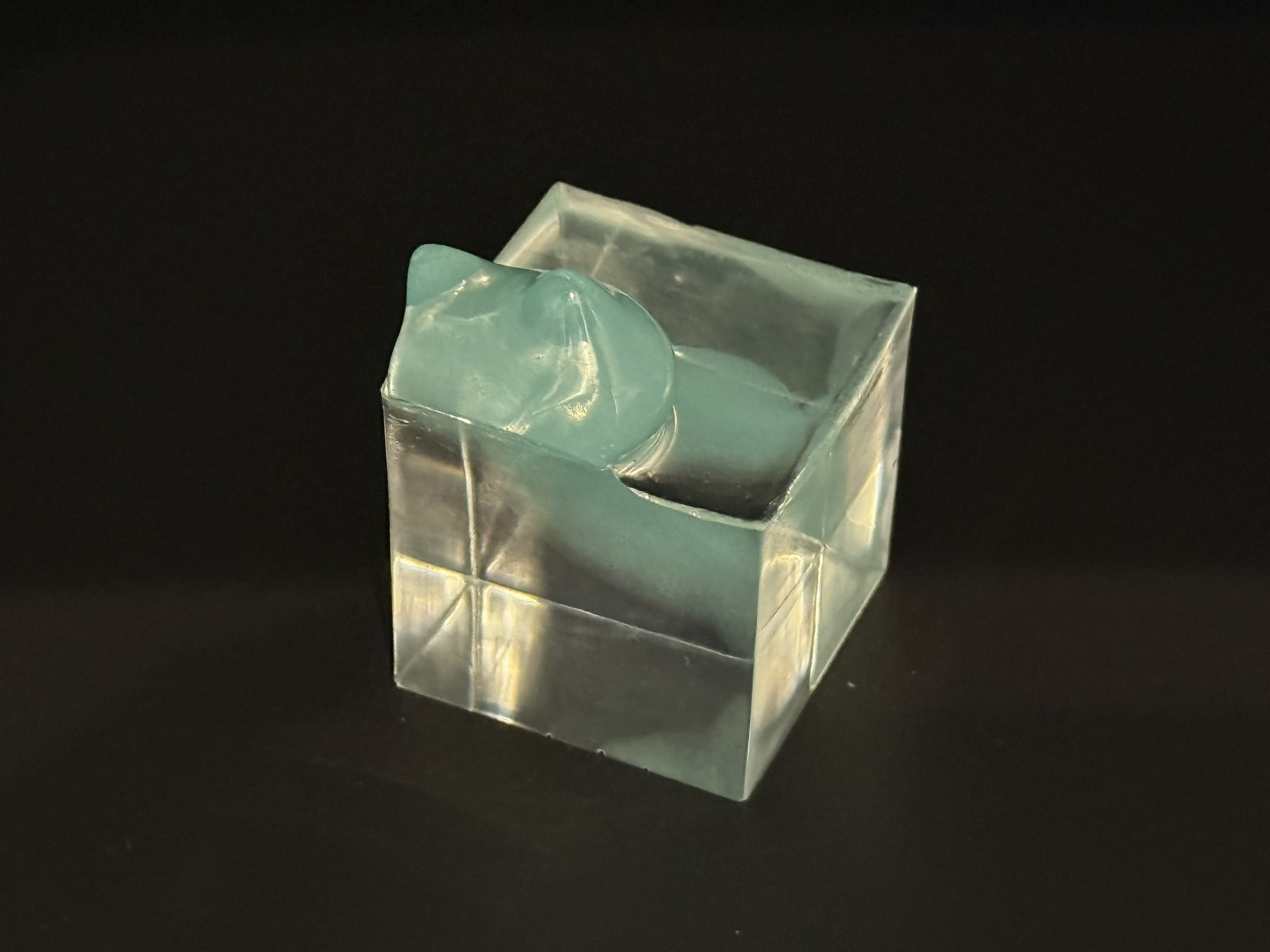 クリアキューブの猫 ～レジンアート～