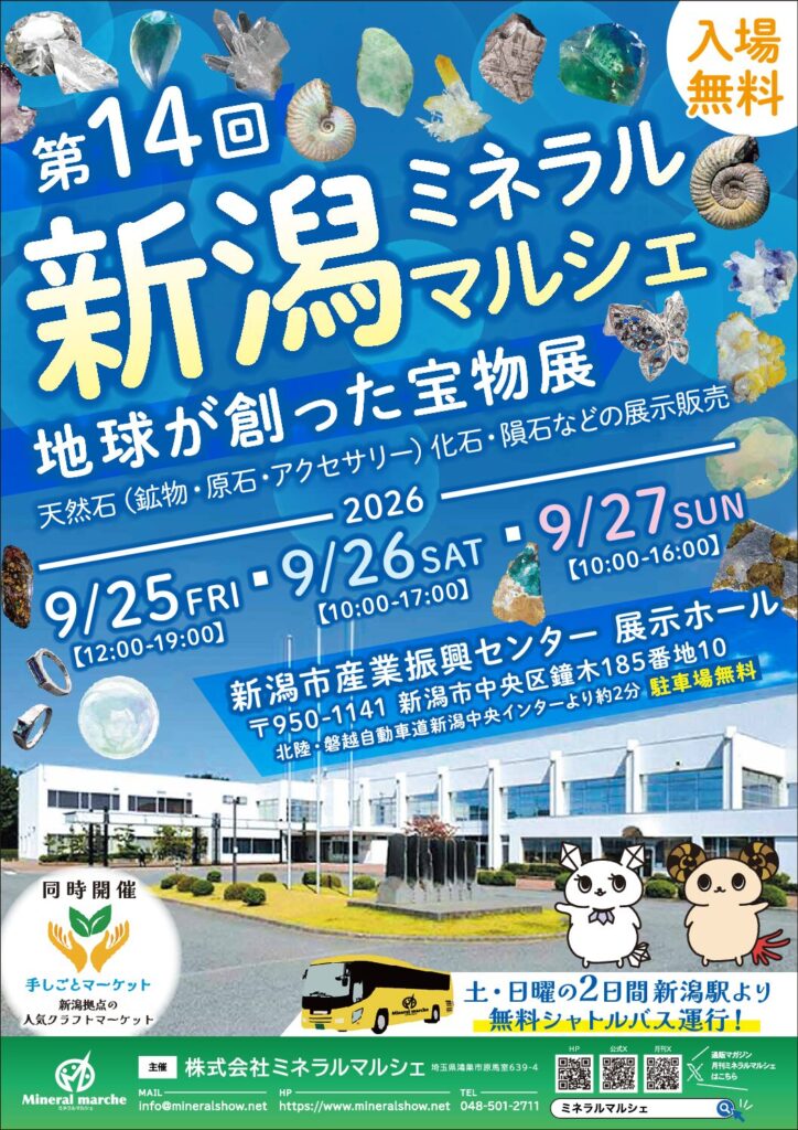 たからいしルース 次回出展は新潟ミネラルマルシェ!