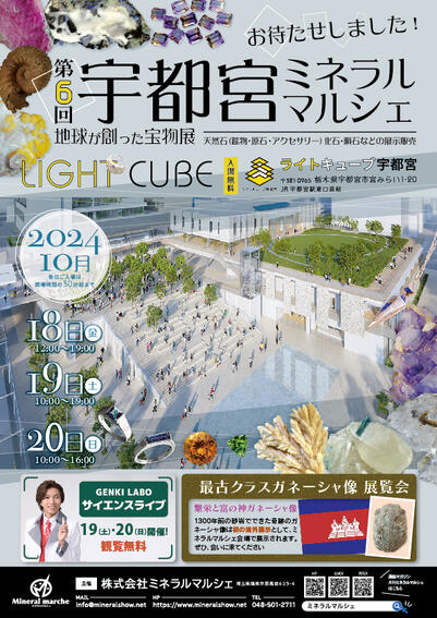 たからいしオンラインショップ　発送遅れについて