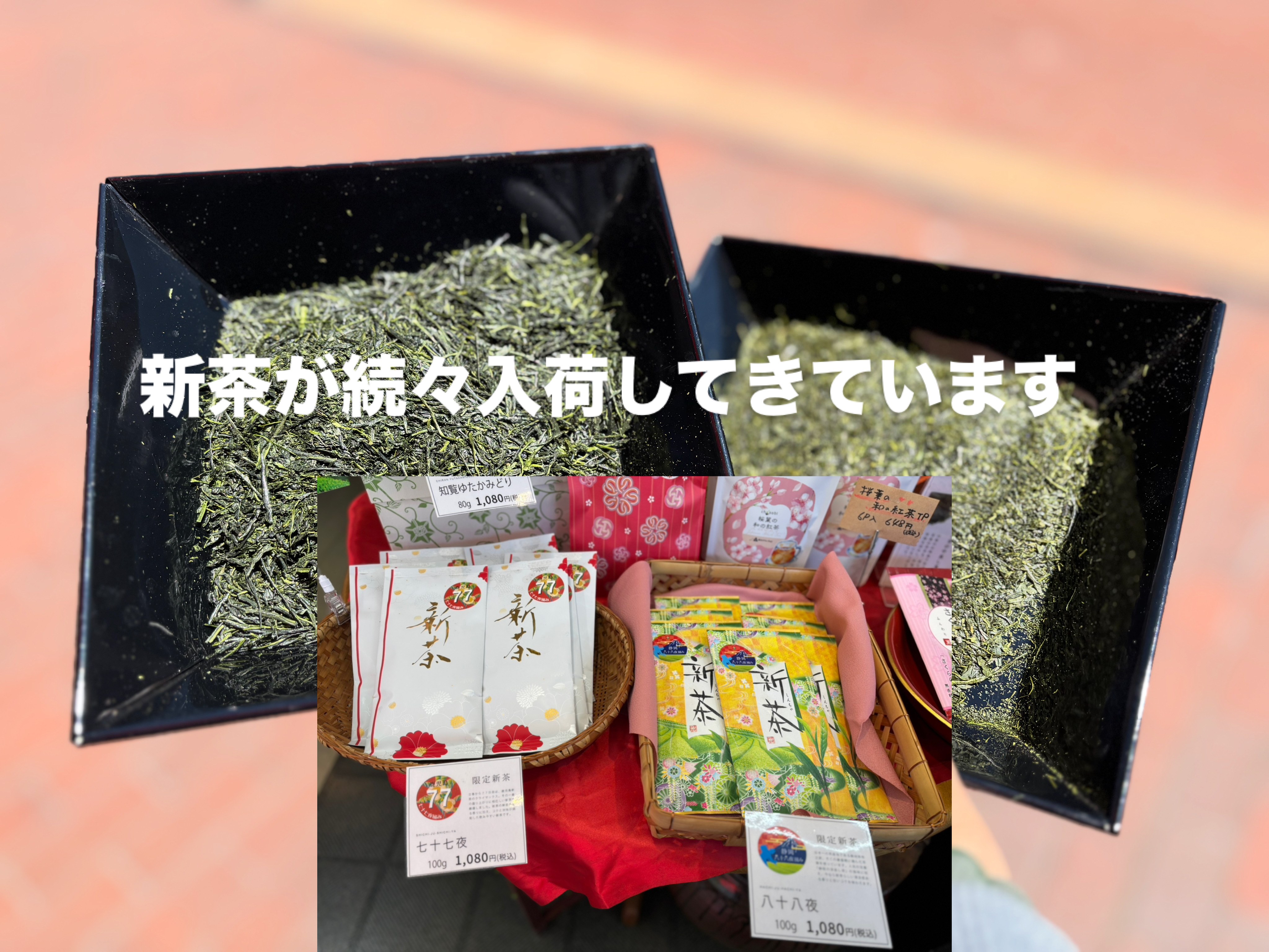 R7年の新茶、だいぶ出そろいました。八女抹茶もそろそろ！