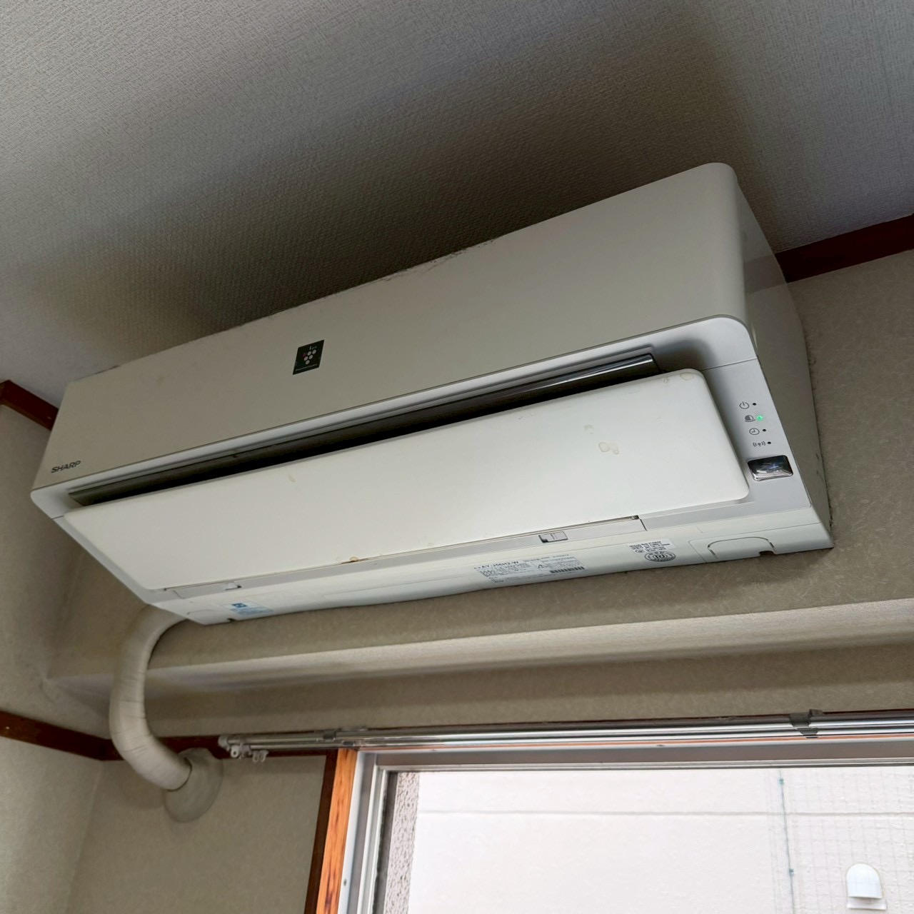 ご購入速報❗️2026/06/27