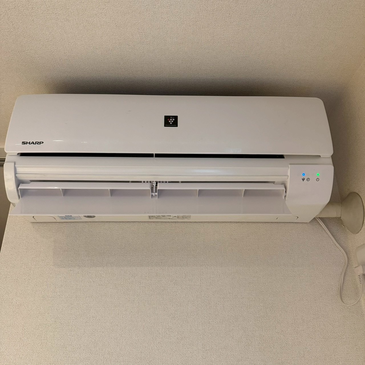 ご購入速報❗️2026/02/03