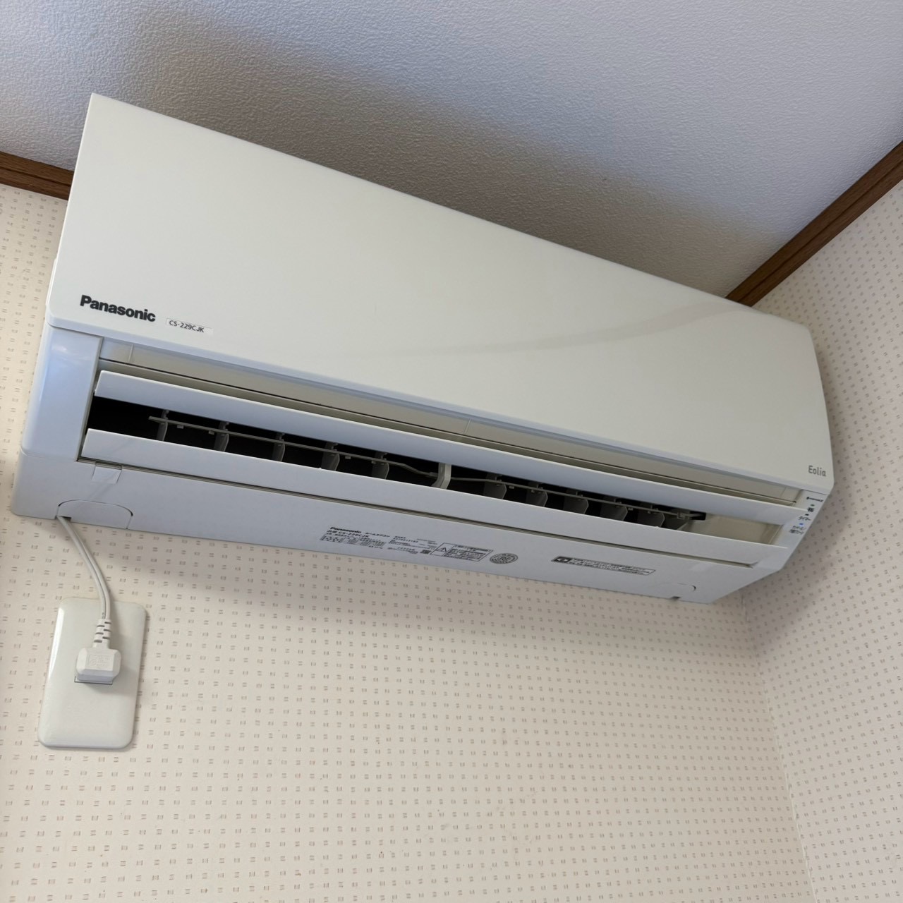 ご購入速報❗️2026/08/04
