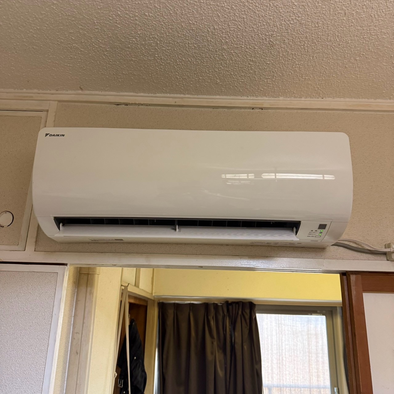 ご購入速報❗️2026/08/11