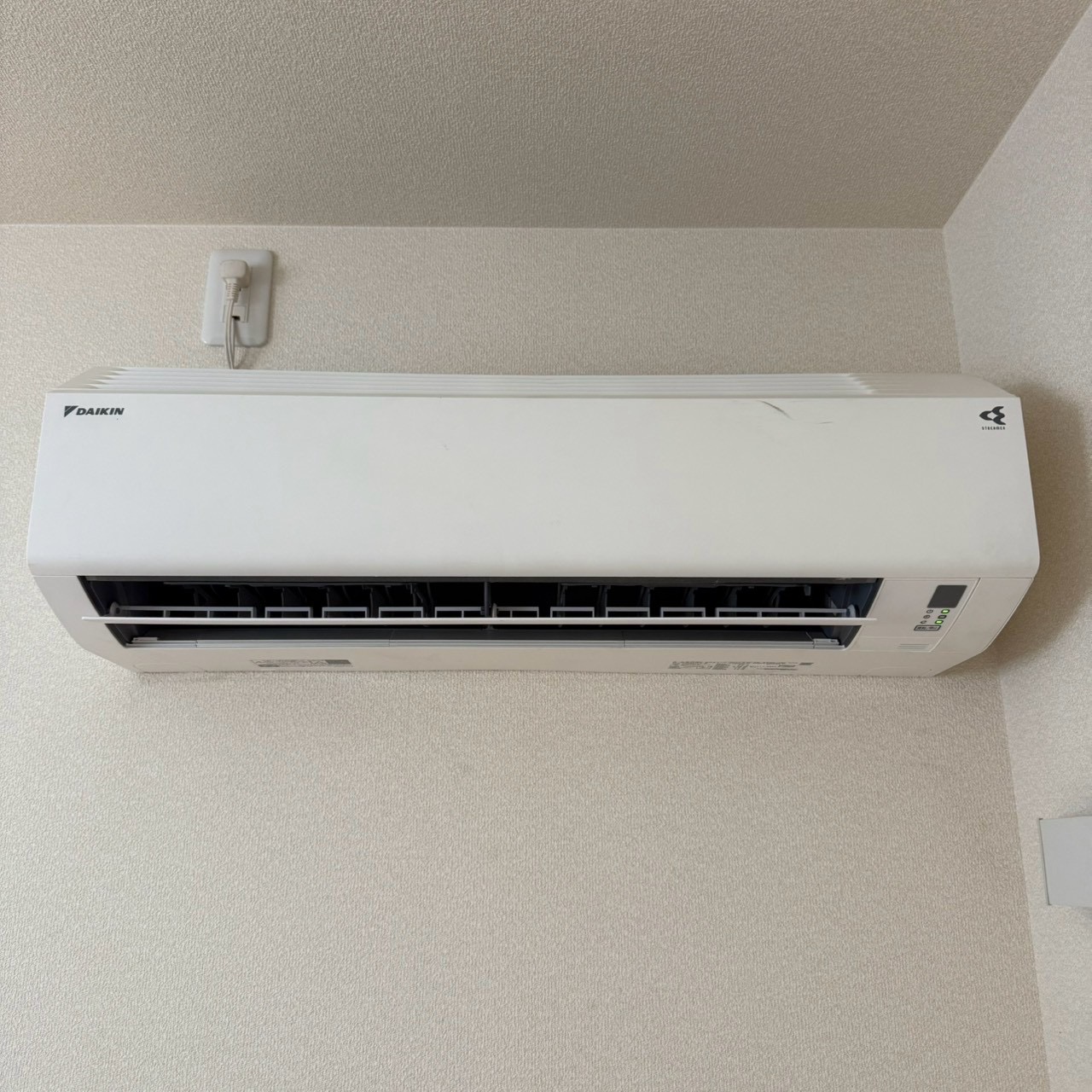 ご購入速報❗️2026/08/29