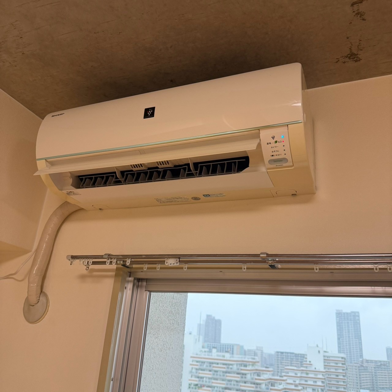 ご購入速報❗️2026/09/15