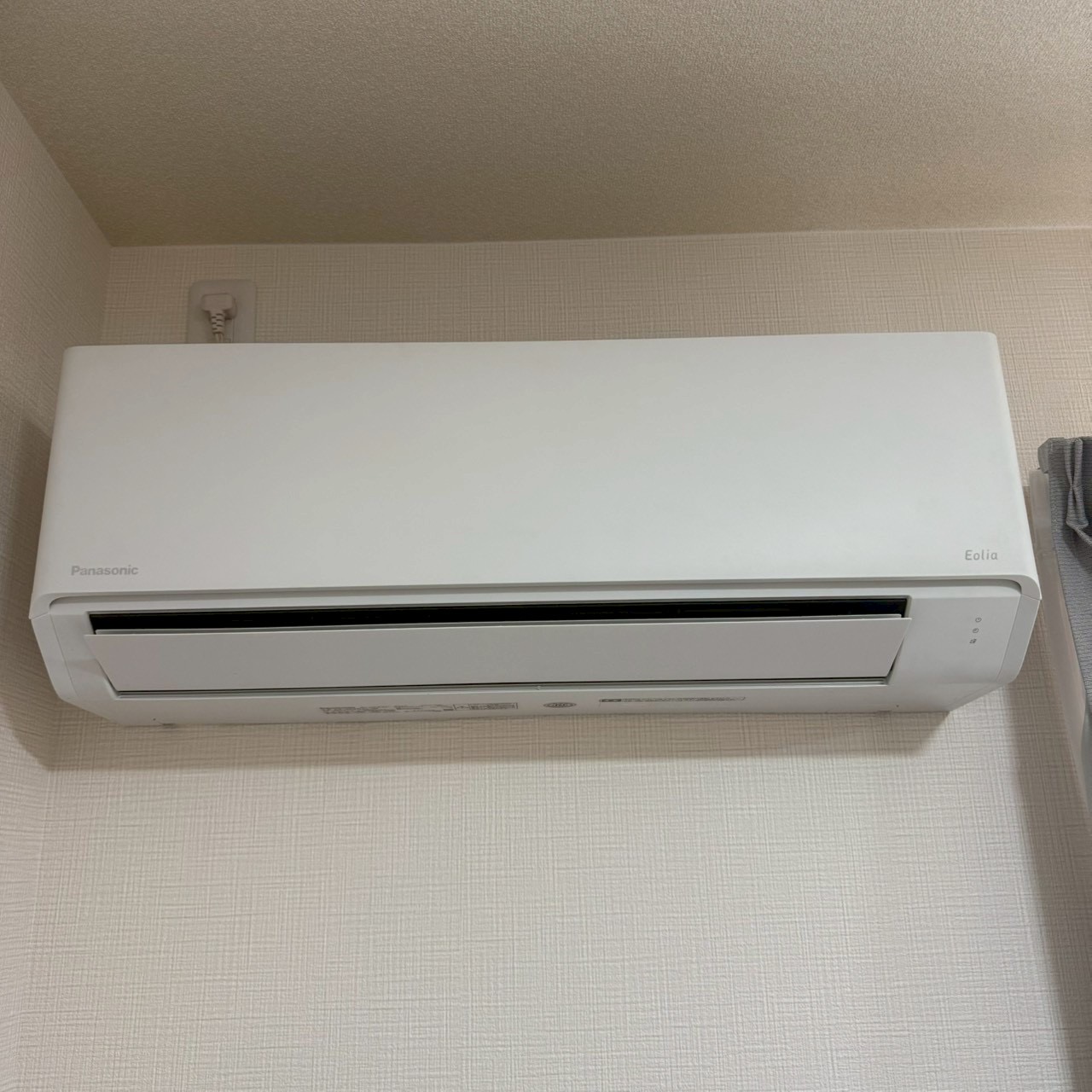 ご購入速報❗️2026/06/19
