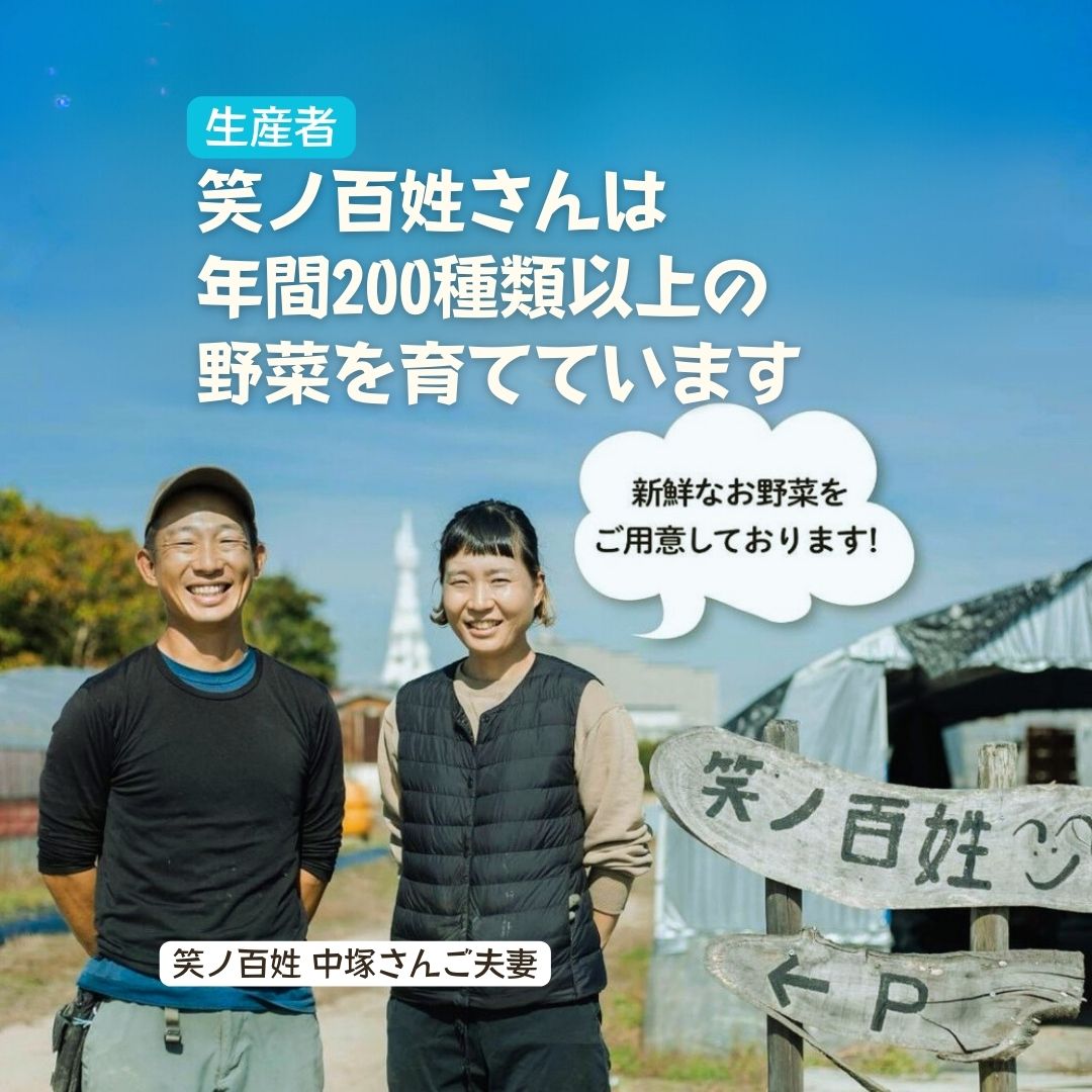 無農薬野菜セット　笑ノ百姓さん　大阪府富田林市