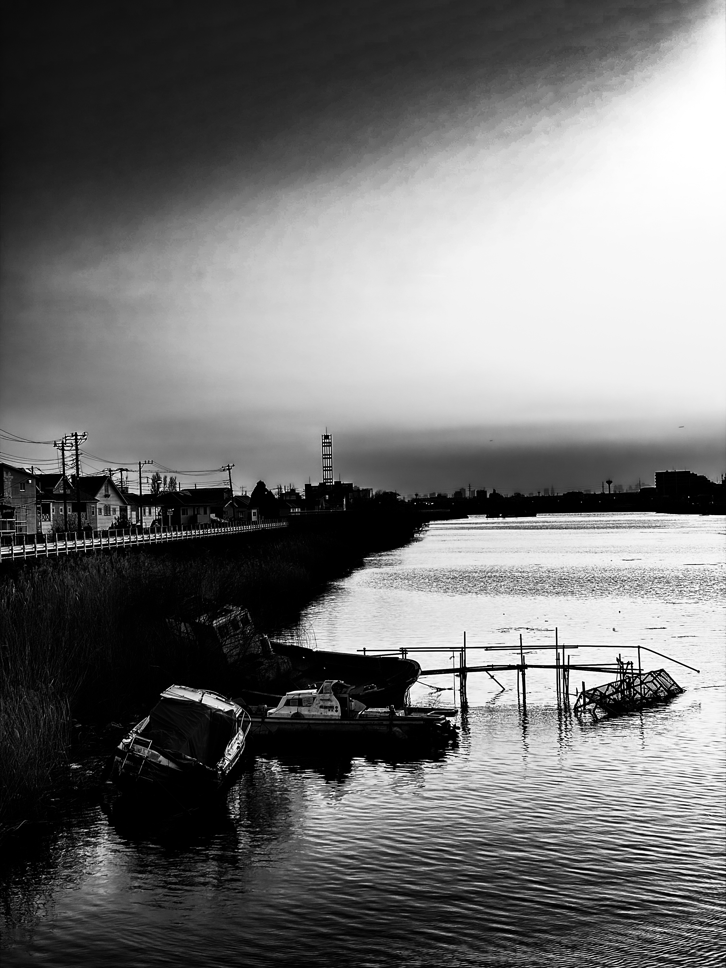 1月、2月は江戸のぼり