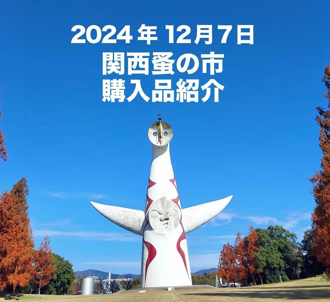 【雑貨ブログ】関西蚤の市にいってきました