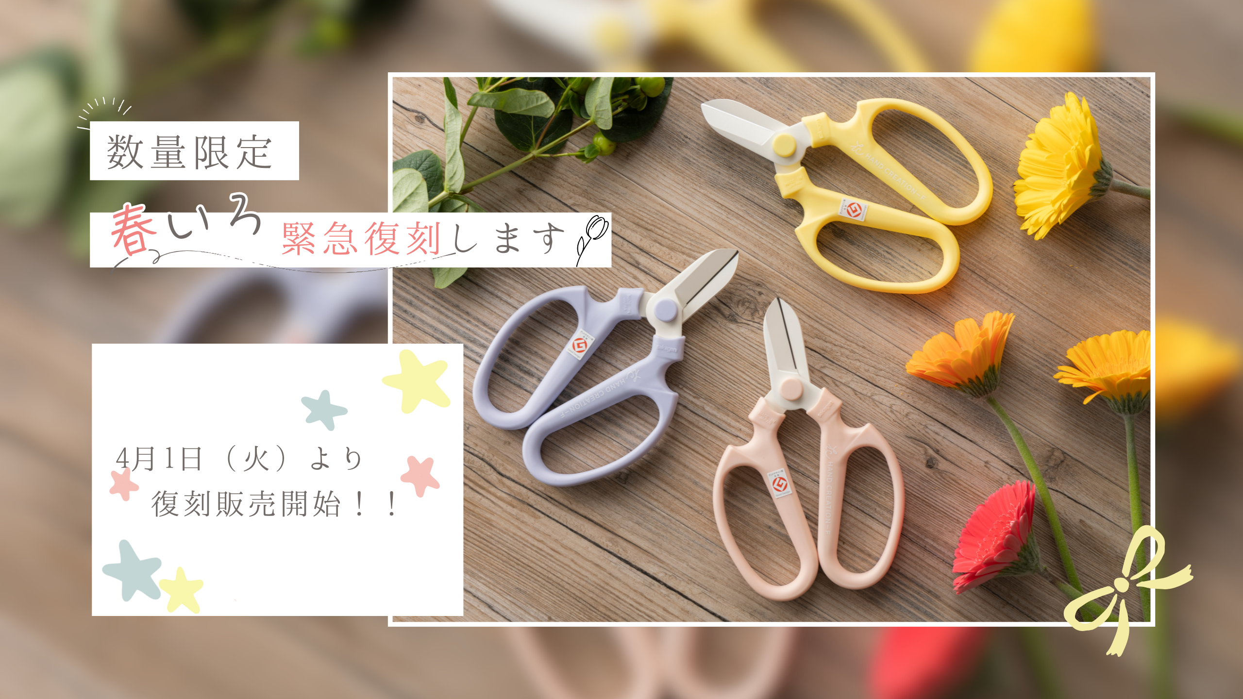 【数量限定・春いろ緊急復刻のお知らせ🌷✨】