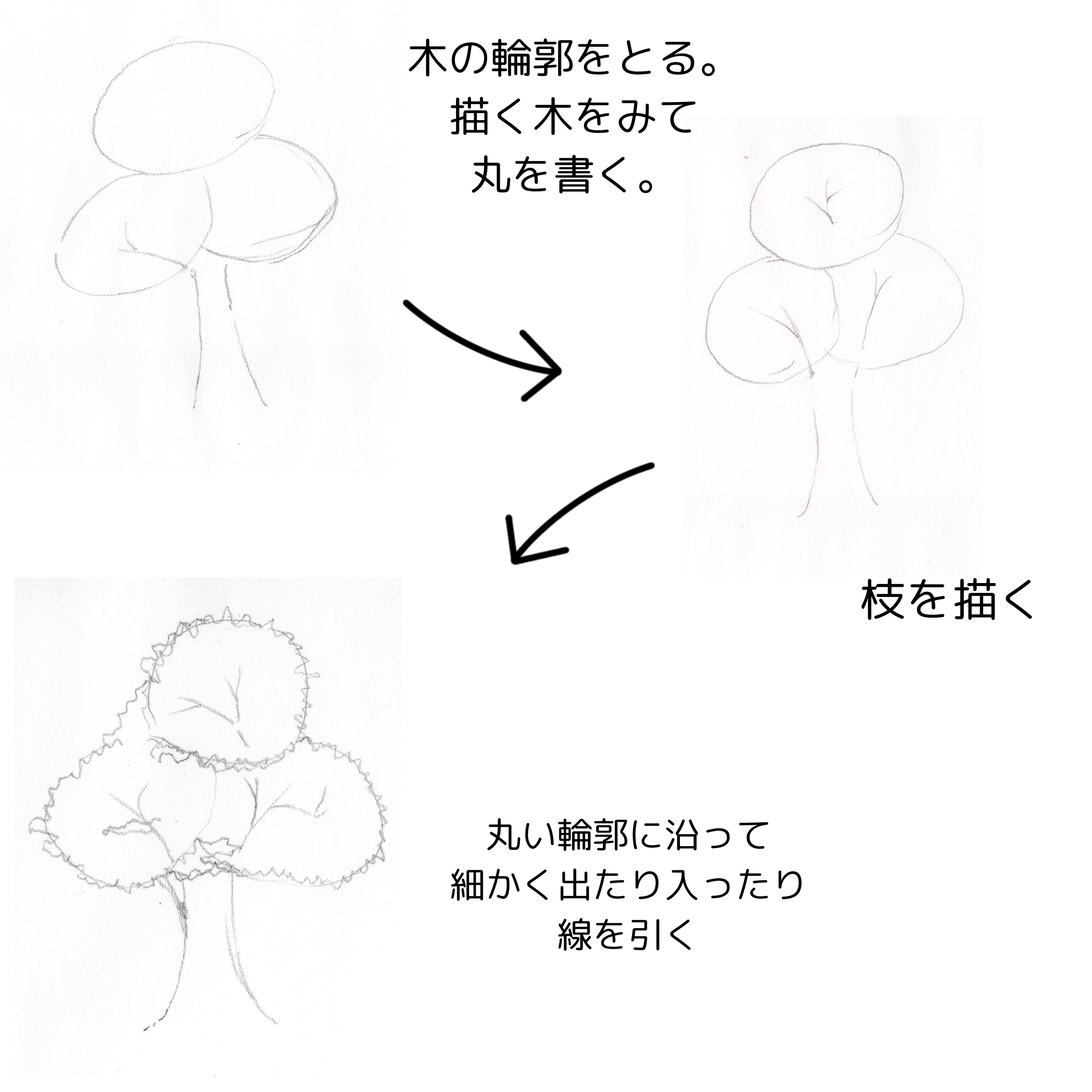 樹木の描き方（添景）｜パース講座