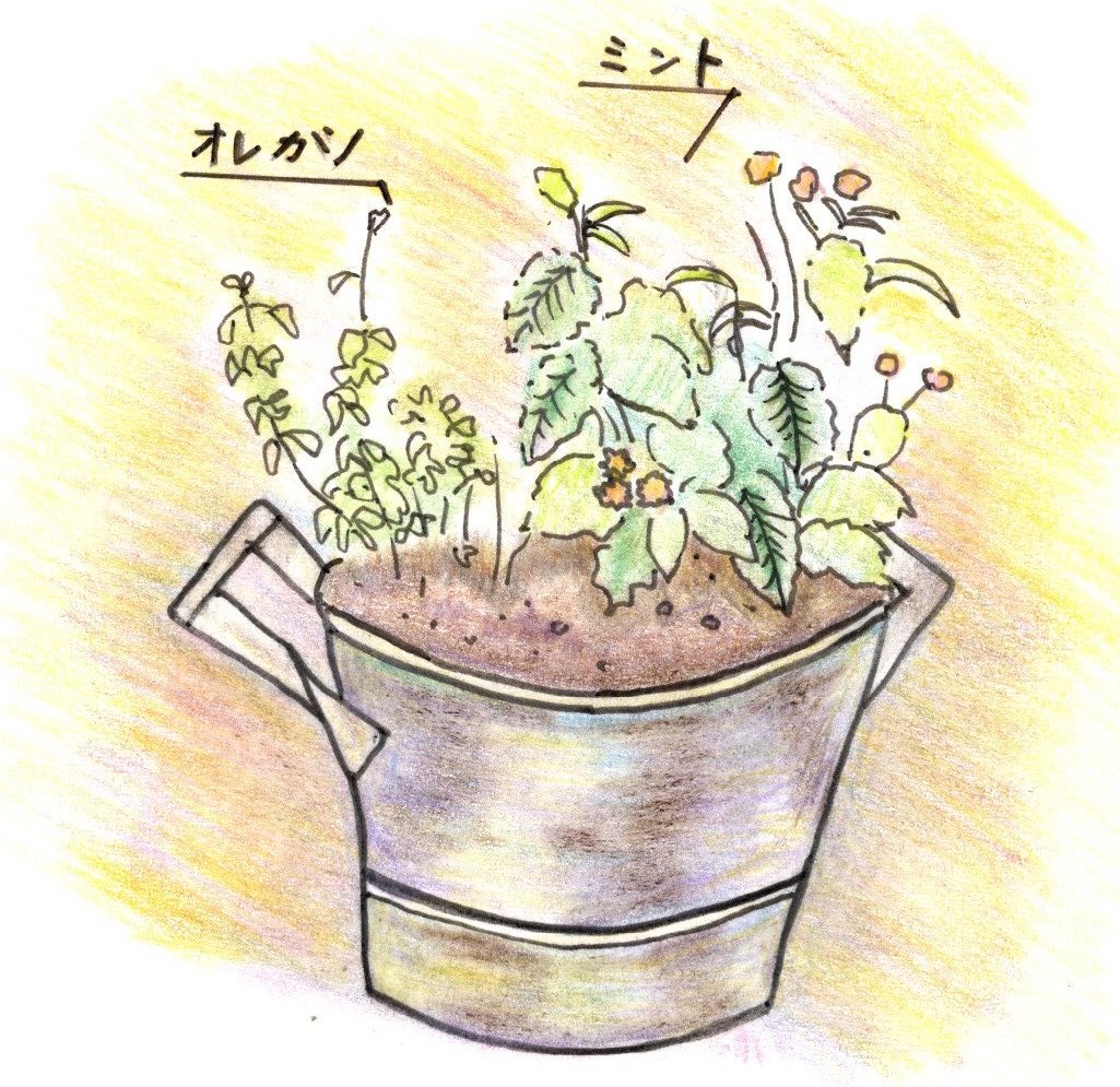 色は何でこんなにあるのか｜楽しい時間