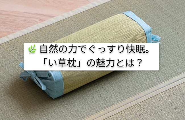 🌿自然の力でぐっすり快眠。「い草枕」の魅力とは？