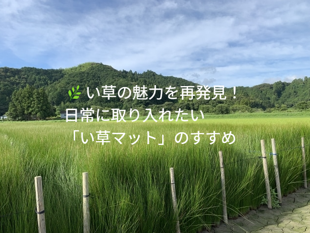 🌿い草の魅力を再発見！日常に取り入れたい「い草マット」のすすめ