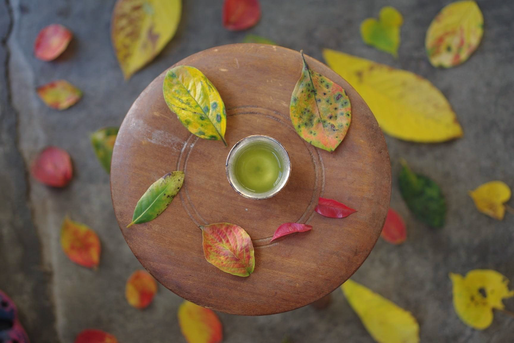 紅葉