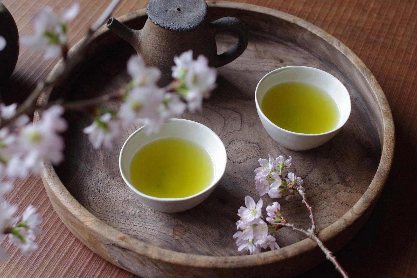 春のお茶